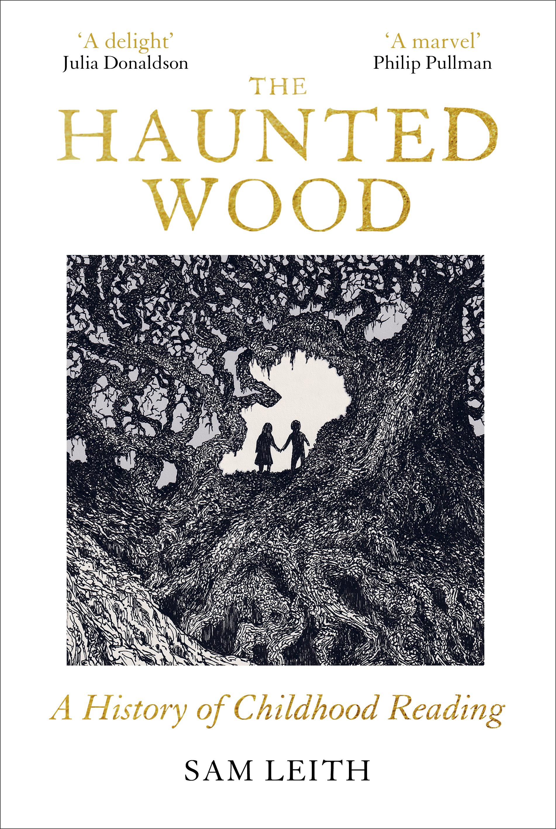 Vorderes Coverbild The Haunted Wood