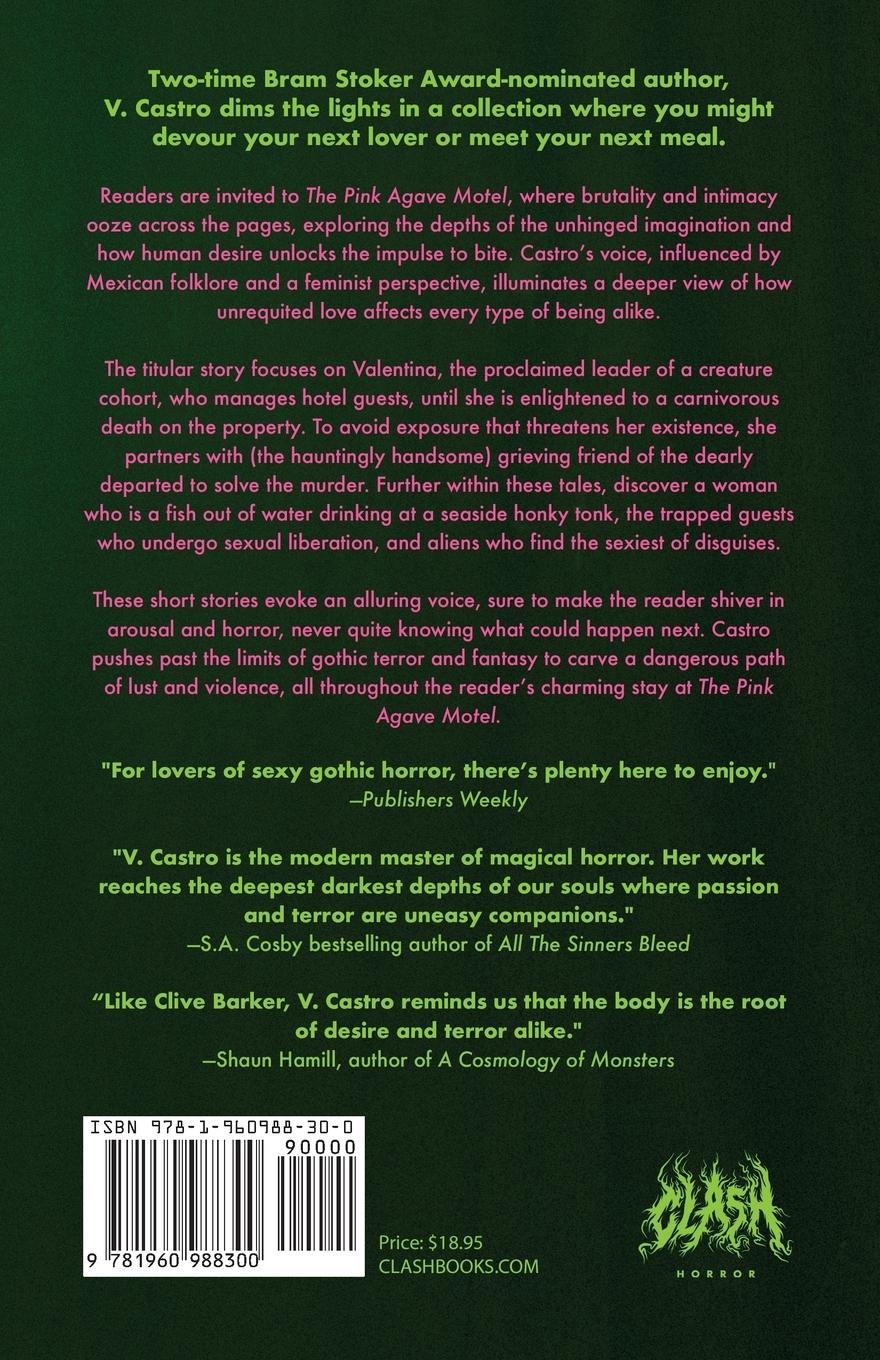 Rückseitencover The Pink Agave Motel