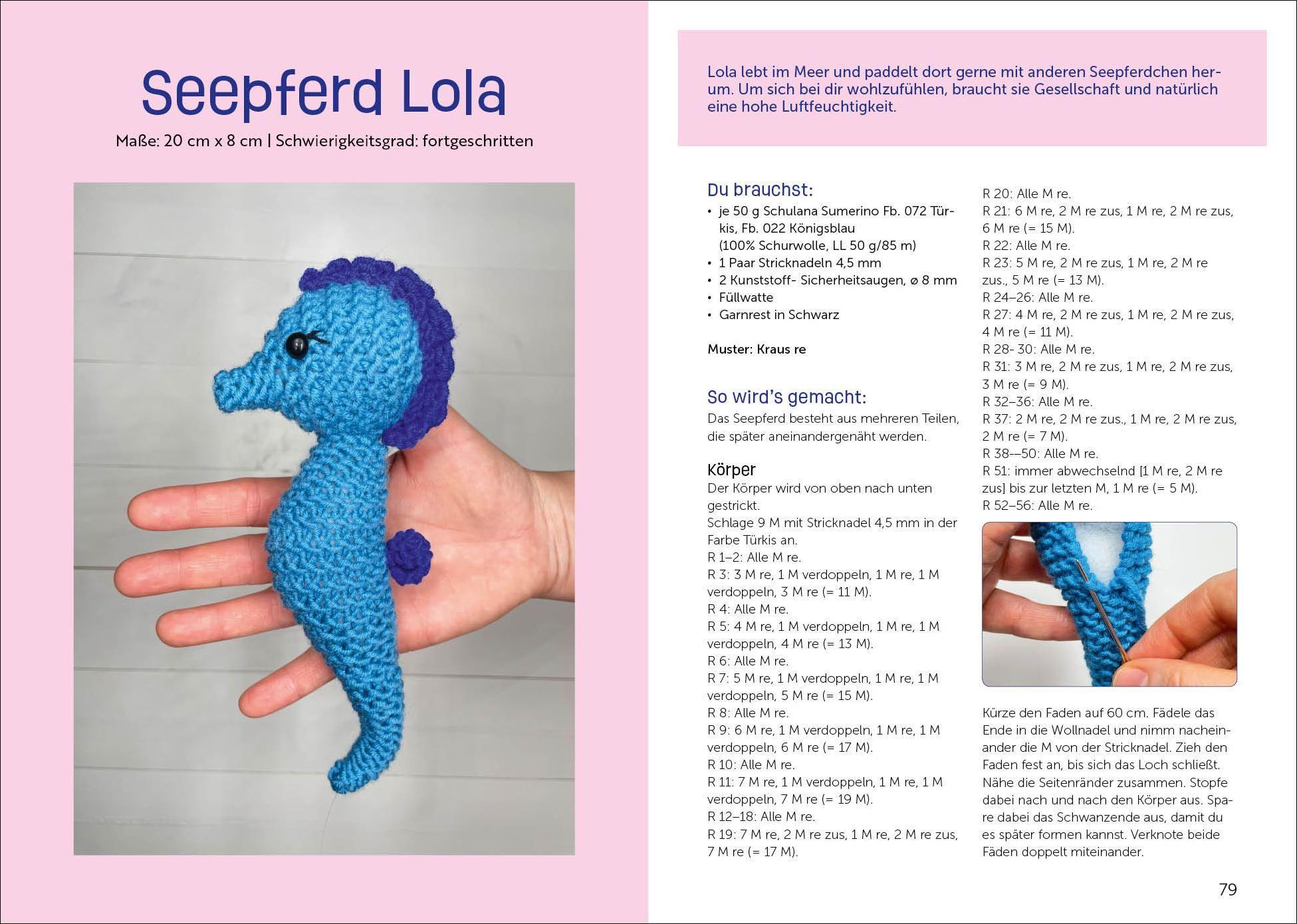 Beispielinhalt (Bild) Mit Spaß Stricken lernen