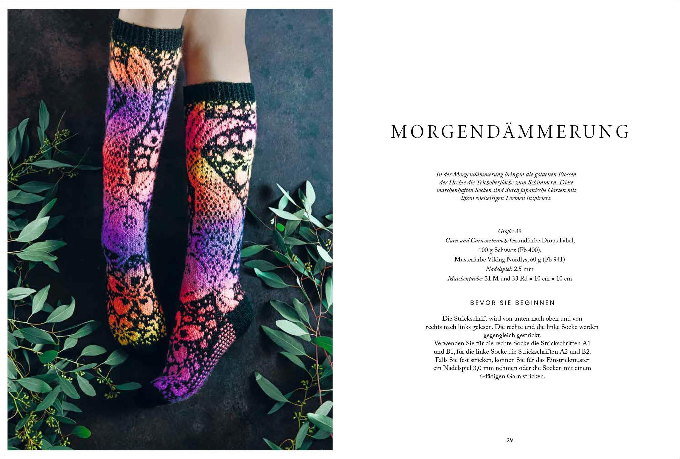 Beispielinhalt (Bild) Florale Scandi-Socken stricken