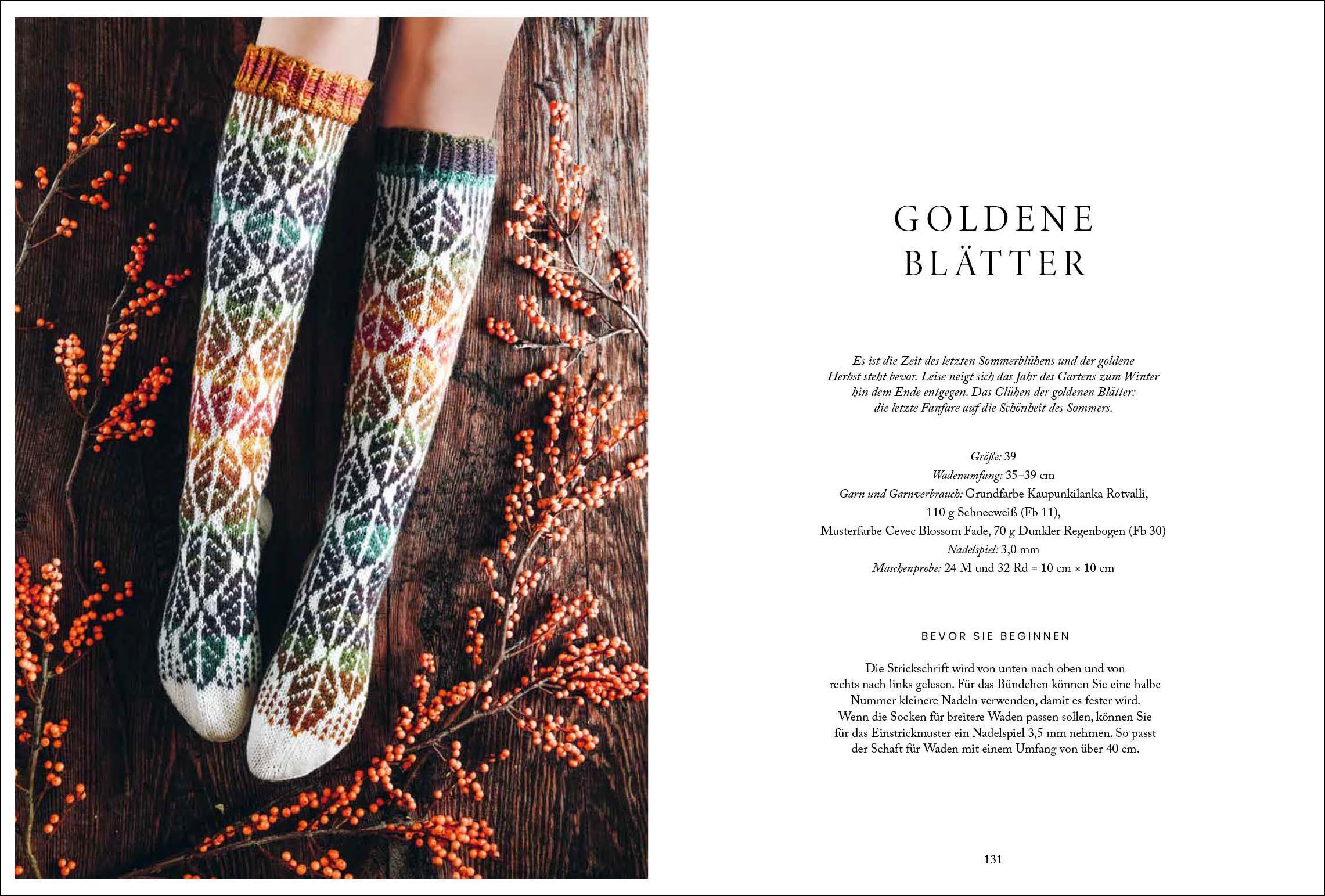 Beispielinhalt (Bild) Florale Scandi-Socken stricken