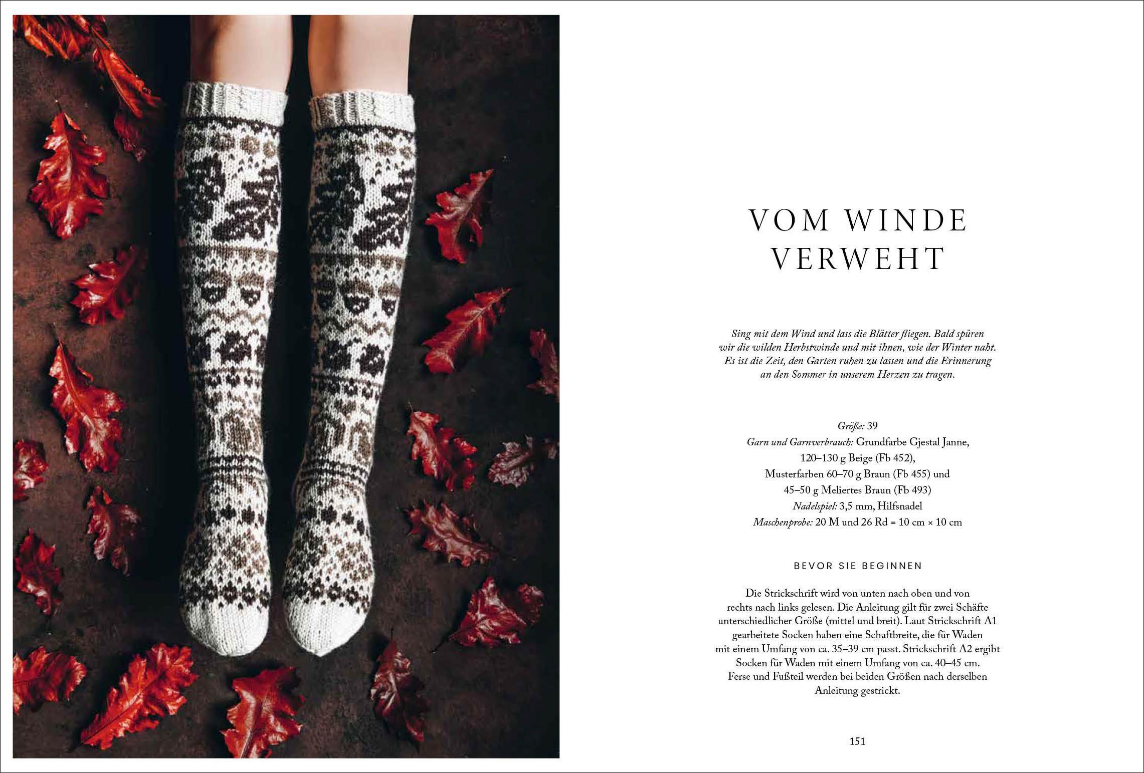 Beispielinhalt (Bild) Florale Scandi-Socken stricken