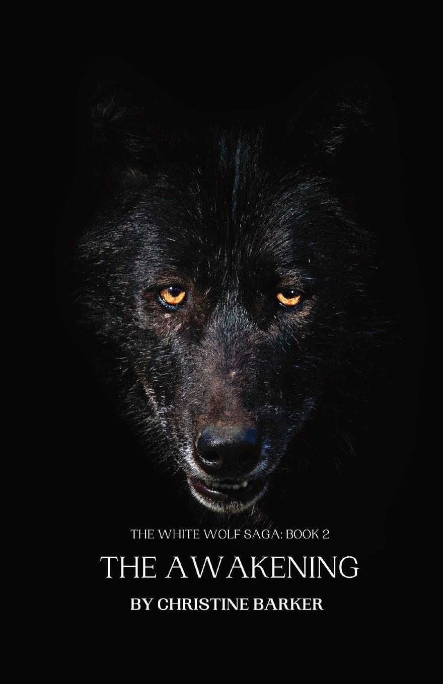 Vorderes Coverbild THE AWAKENING