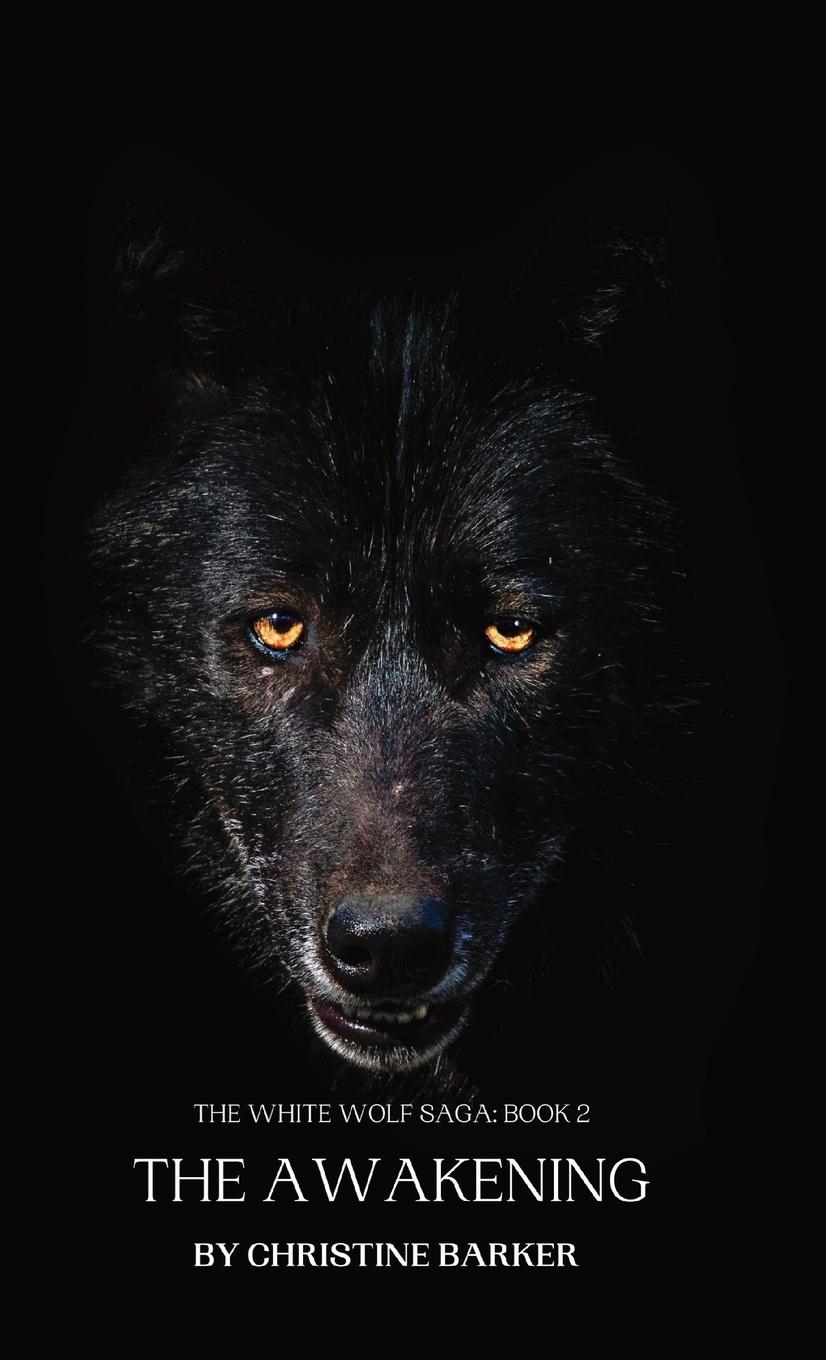 Vorderes Coverbild THE AWAKENING