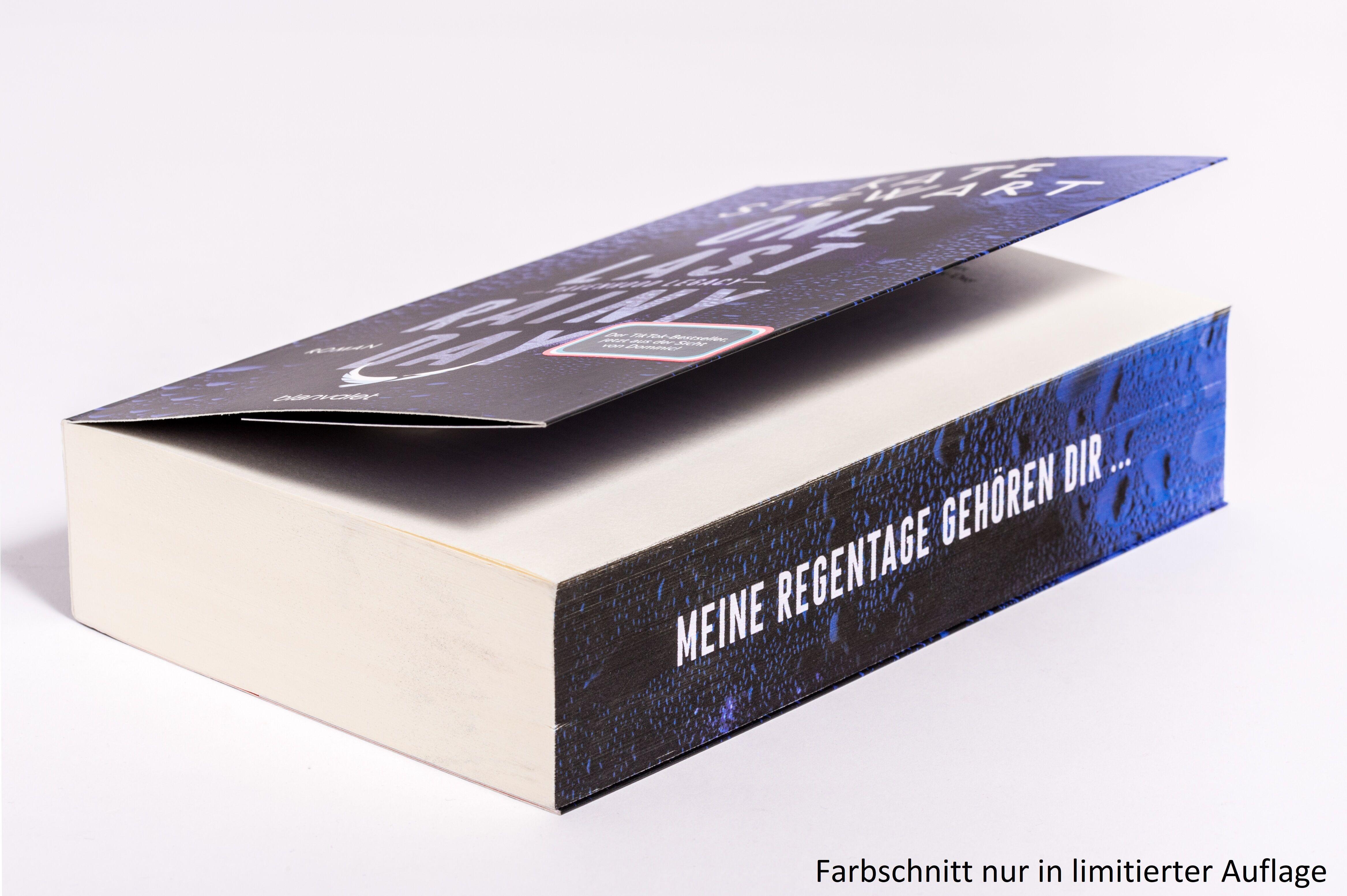 Beispielinhalt (Bild) One Last Rainy Day