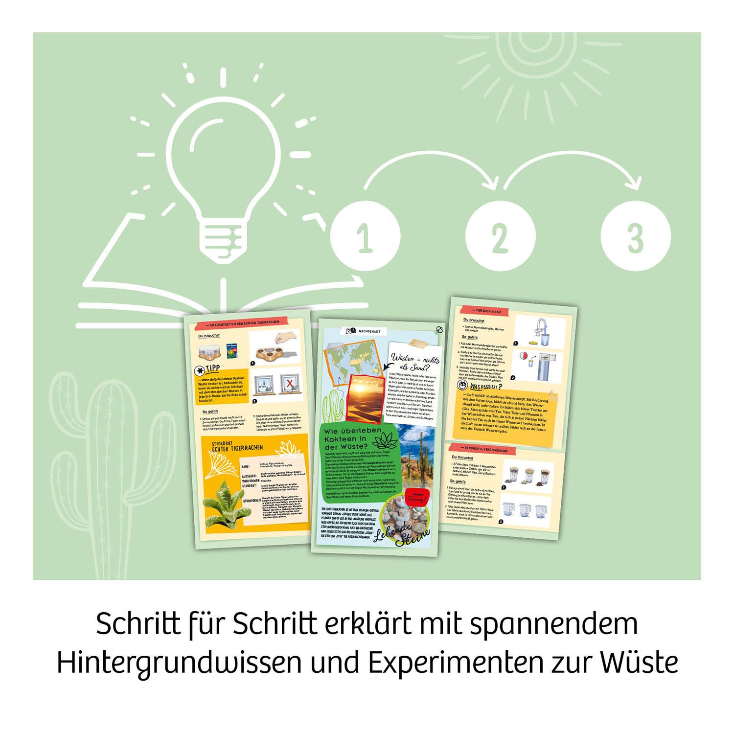 Beispielinhalt (Bild) Kakteen-Wüste