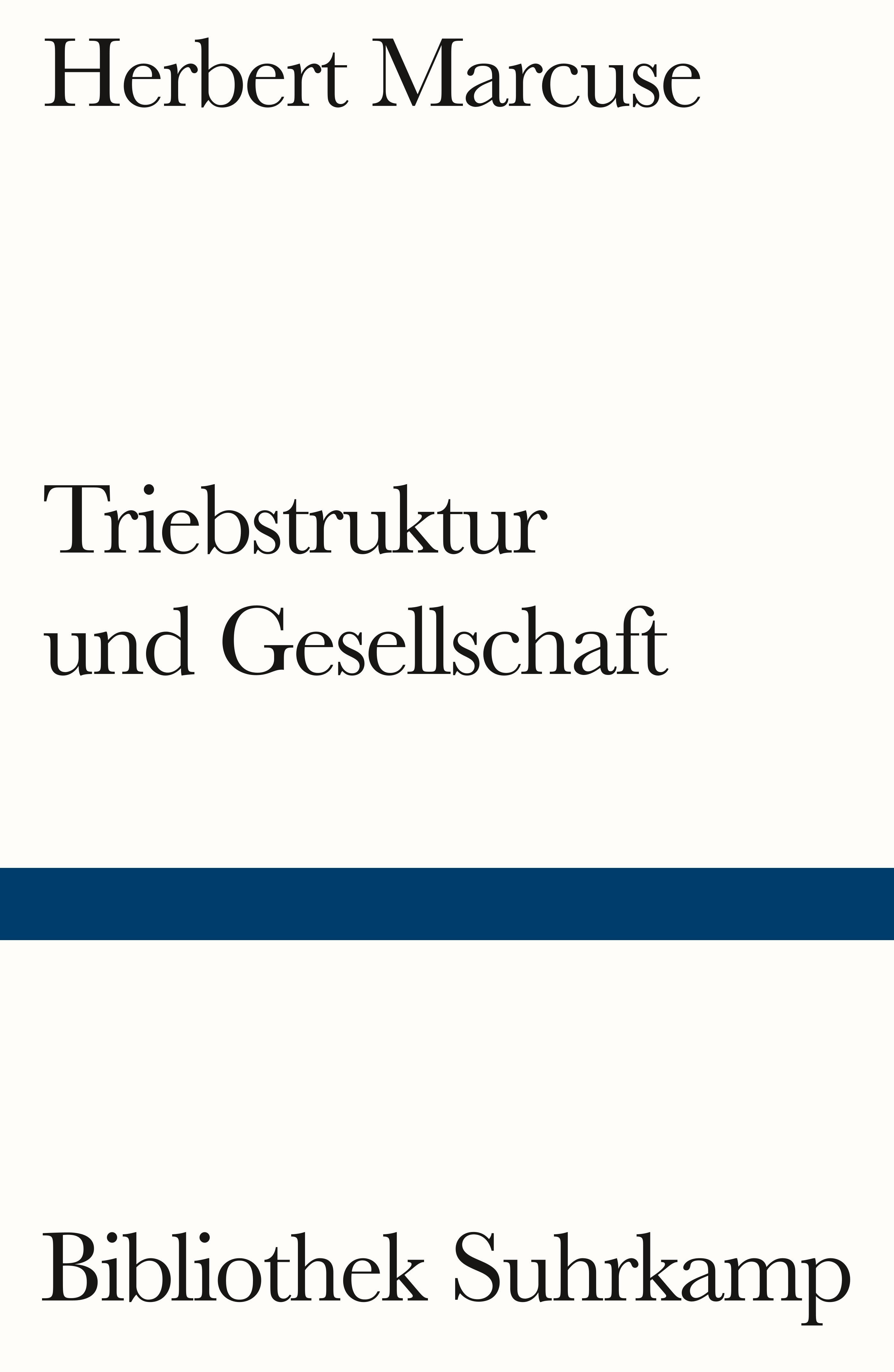 Vorderes Coverbild Triebstruktur und Gesellschaft