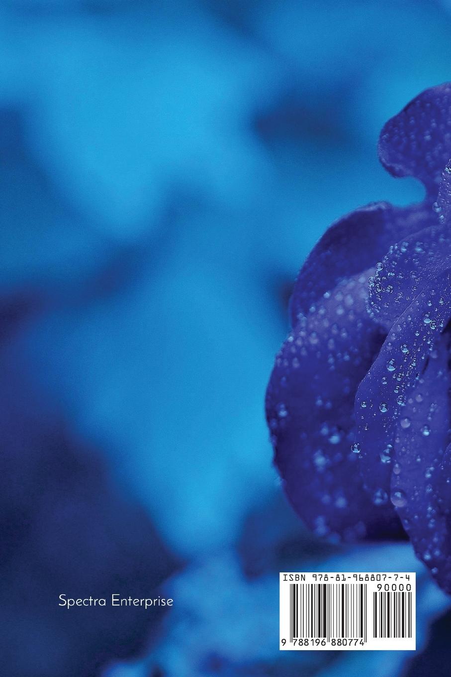 Rückseitencover Journey of Acceptance