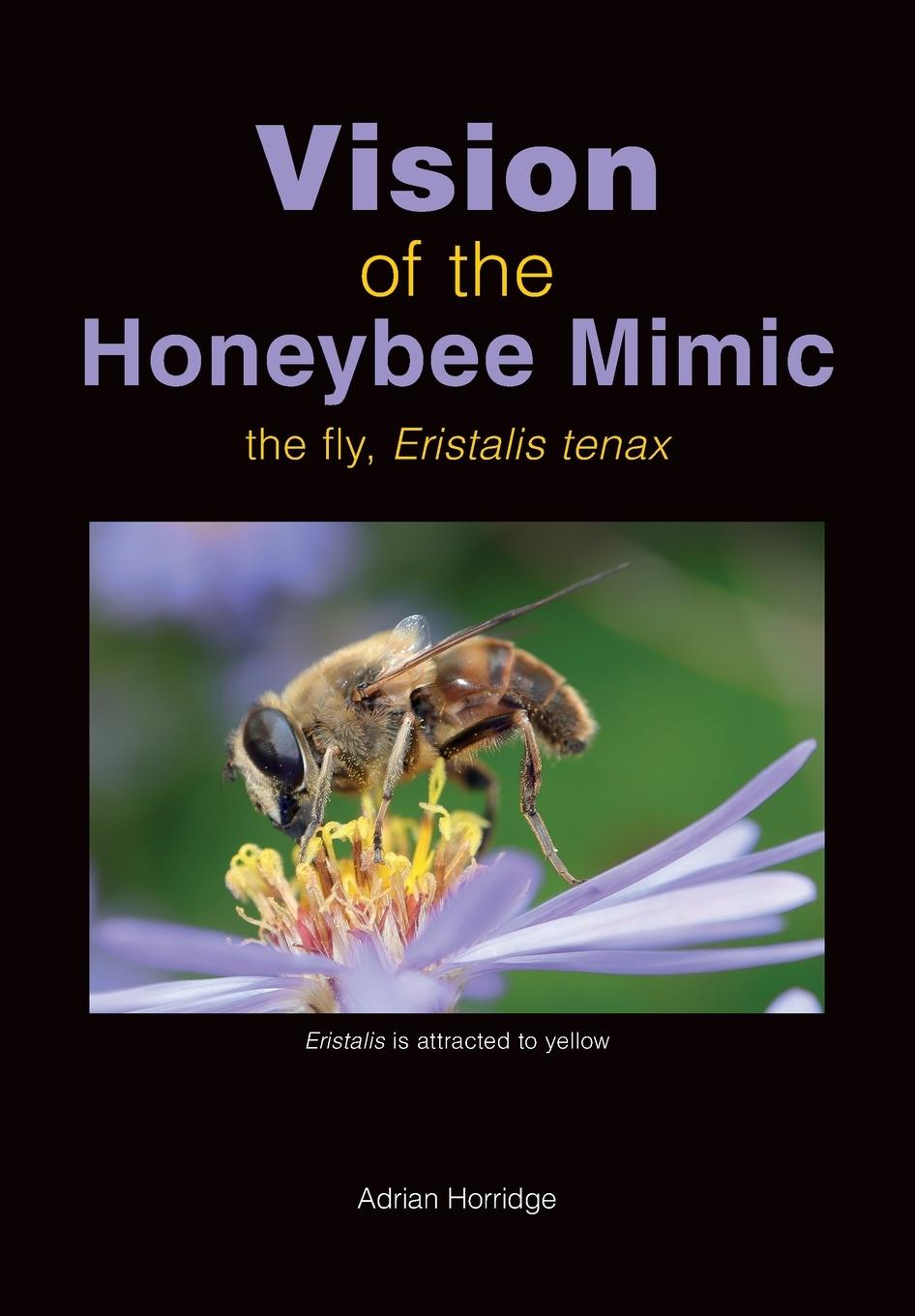 Vorderes Coverbild Vision of the Honeybee Mimic