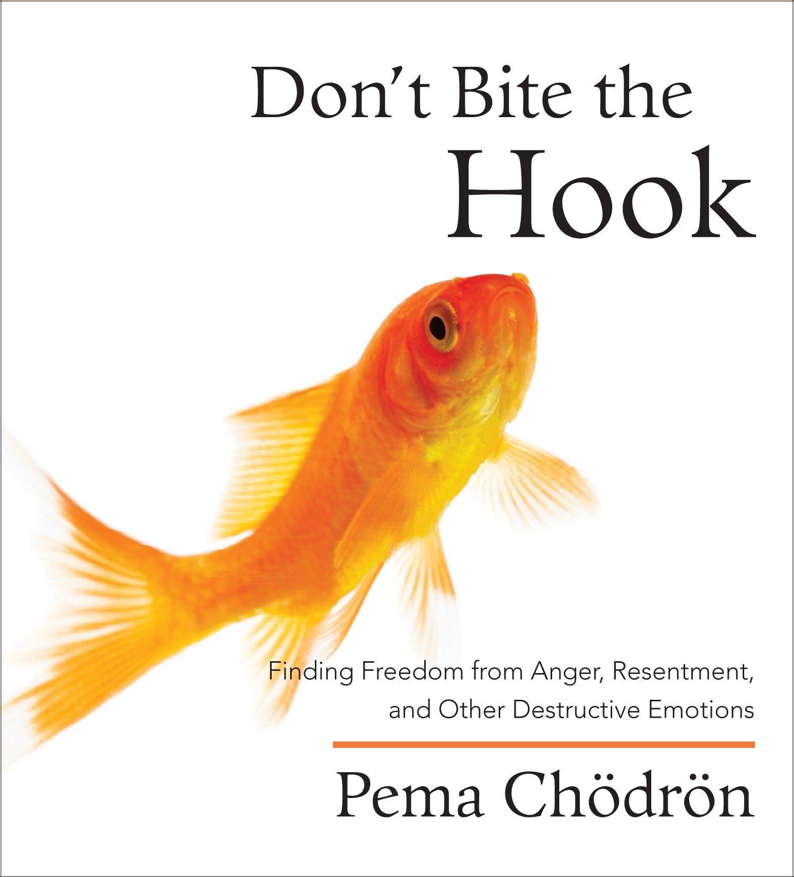 Vorderes Coverbild Don't Bite the Hook: Finding Freedom from Anger, Resentment, and Other Destructive Emotions