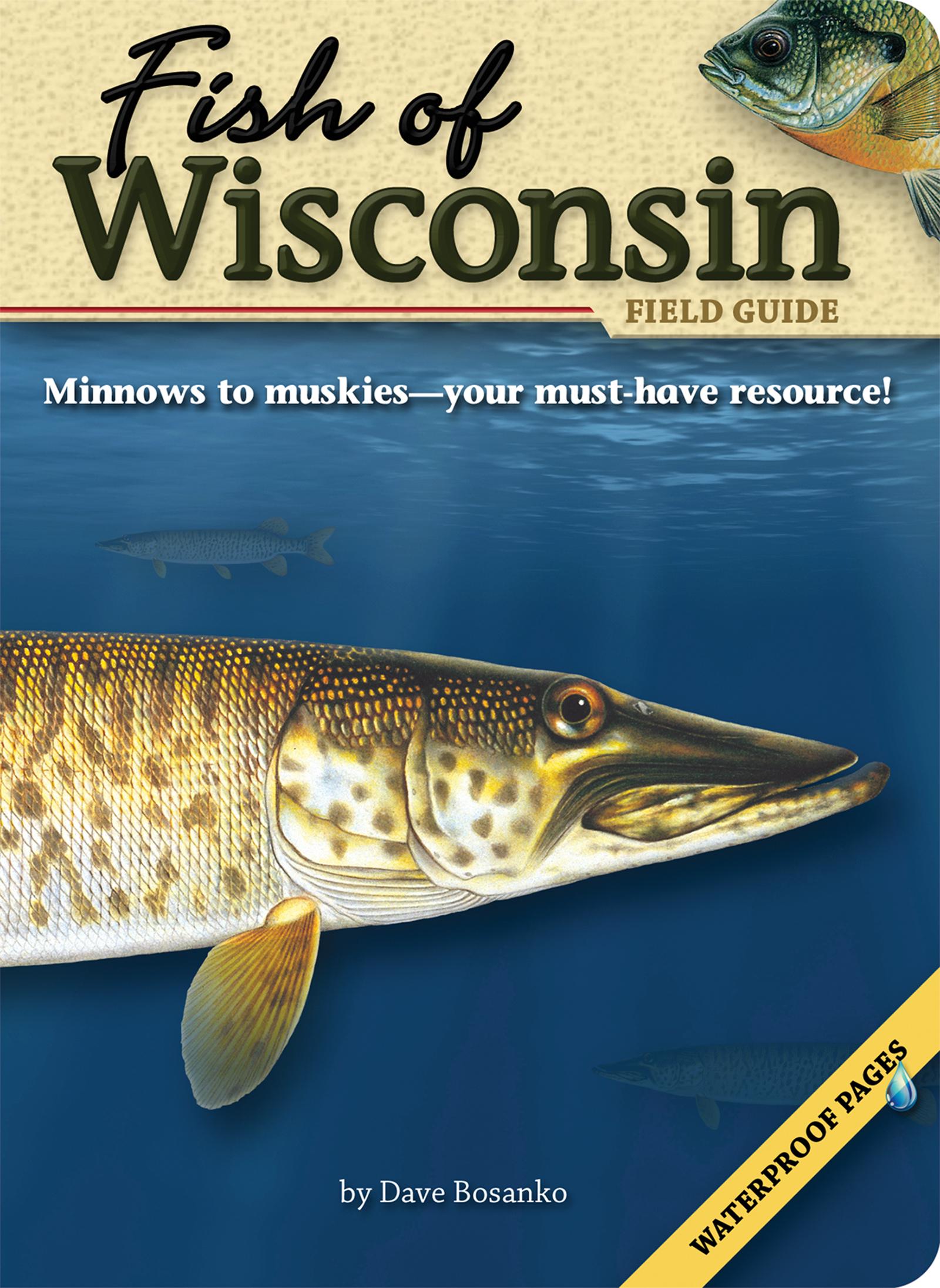 Vorderes Coverbild Fish of Wisconsin Field Guide