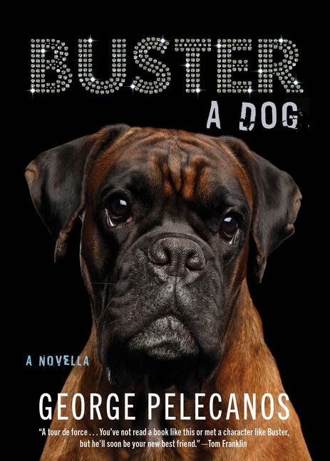 Vorderes Coverbild Buster: A Dog