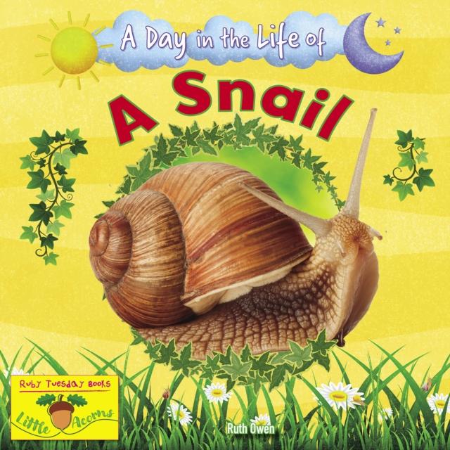 Vorderes Coverbild A Snail