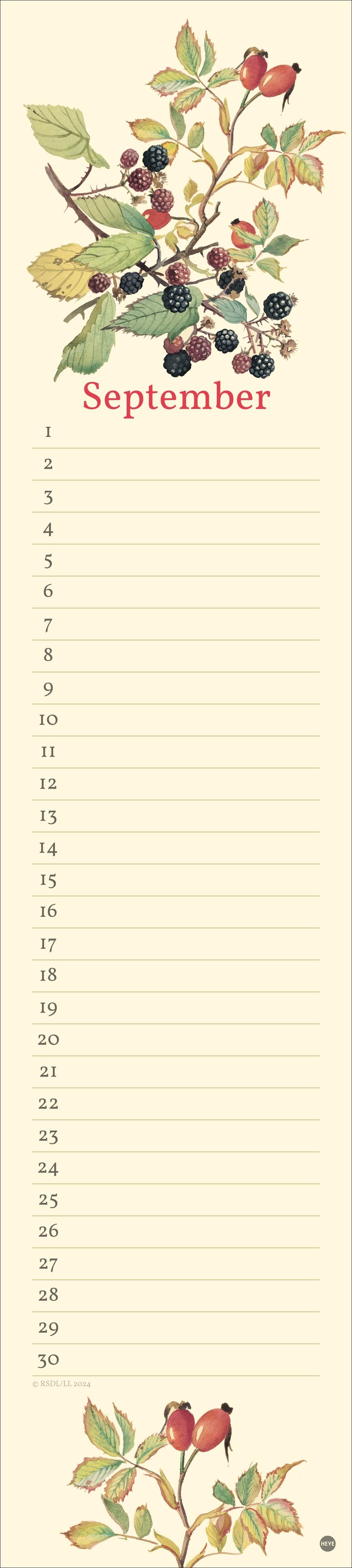 Beispielinhalt (Bild) Edith Holden: Geburtstagskalender Langplaner