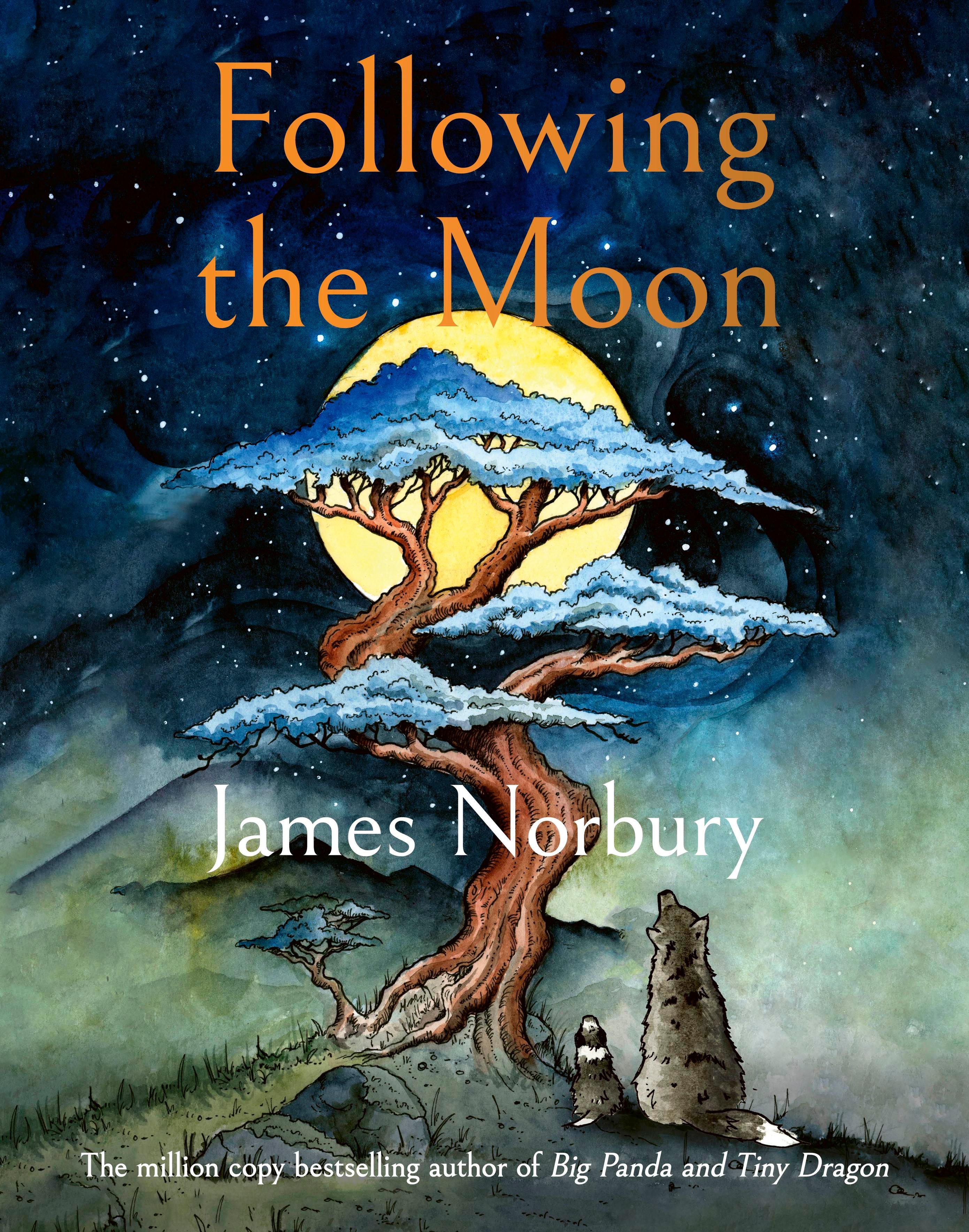 Vorderes Coverbild Following the Moon