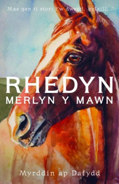 Vorderes Coverbild Rhedyn, Merlyn y Mawn