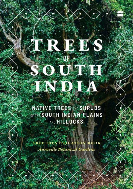 Vorderes Coverbild Trees of South India