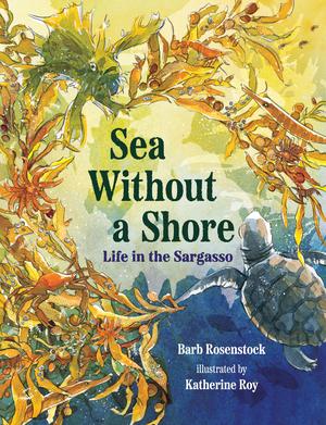 Vorderes Coverbild Sea Without a Shore