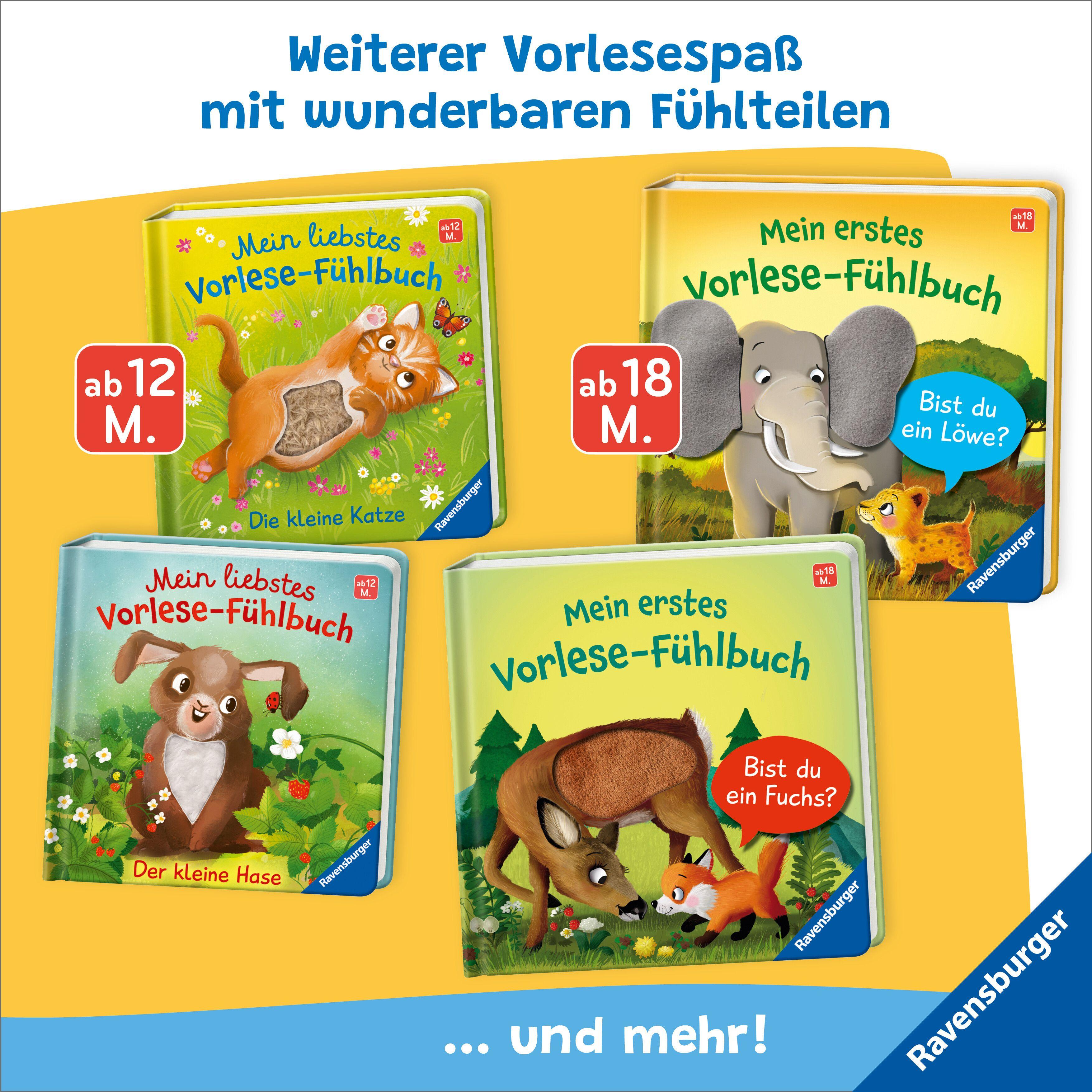 Beispielinhalt (Bild) Mein liebstes Vorlese-Fühlbuch - Die kleine Katze