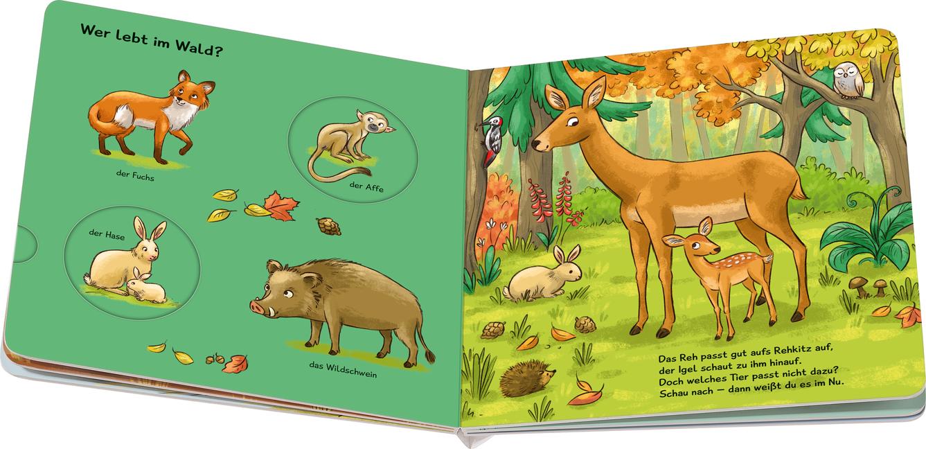 Beispielinhalt (Bild) Nanu? Passt das dazu? Tiere