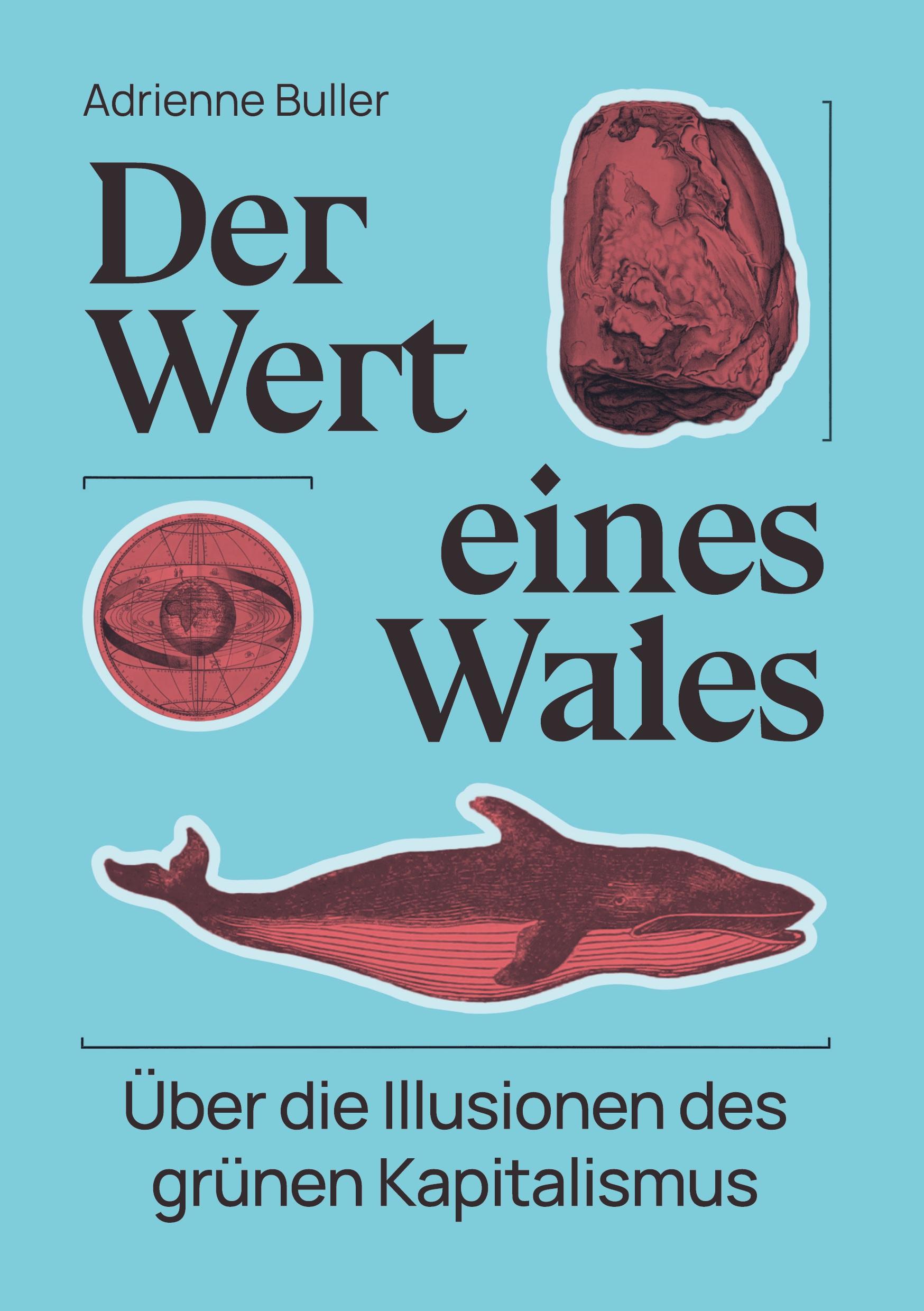 Vorderes Coverbild Der Wert eines Wales