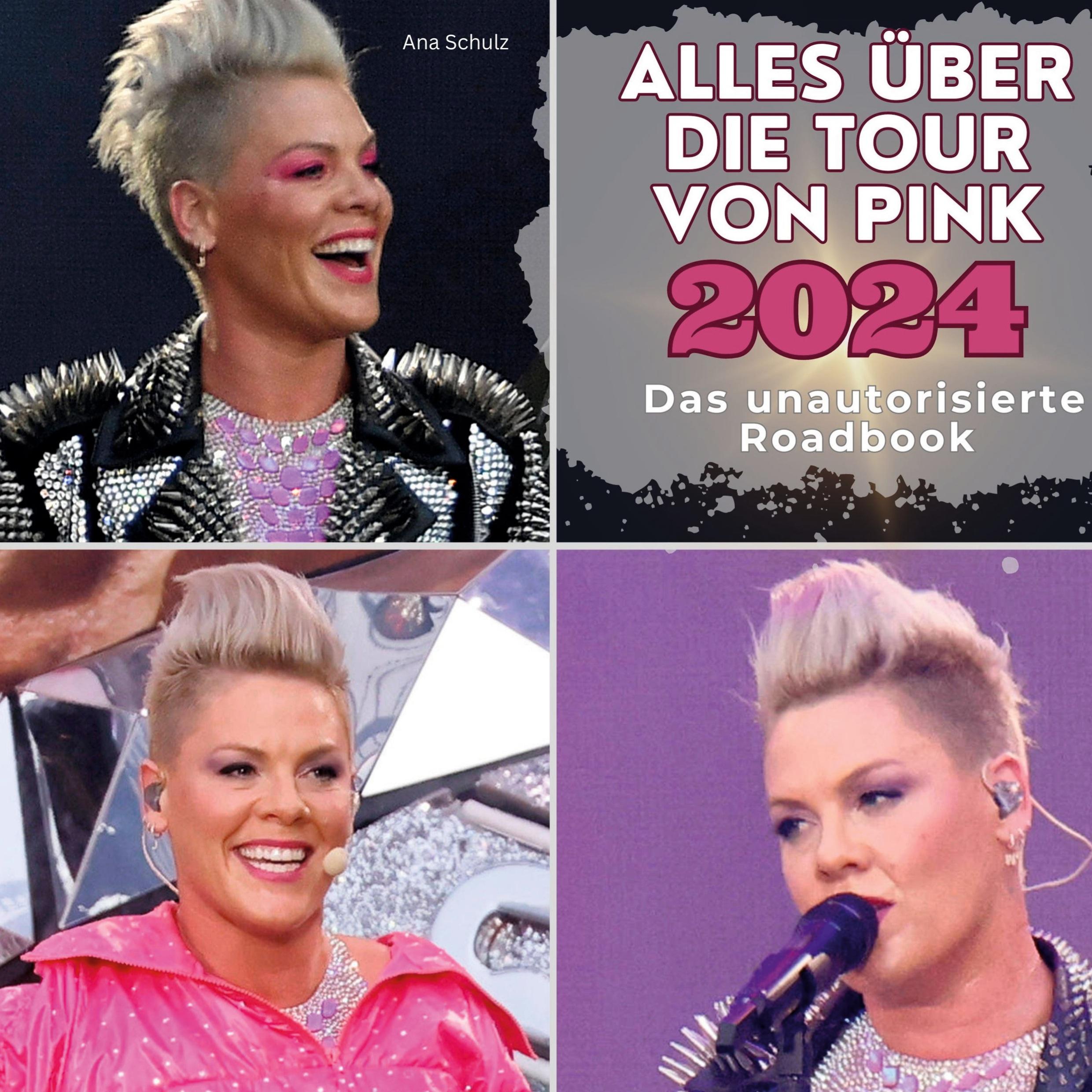Vorderes Coverbild Alles über die Tour von <br> Pink 2024