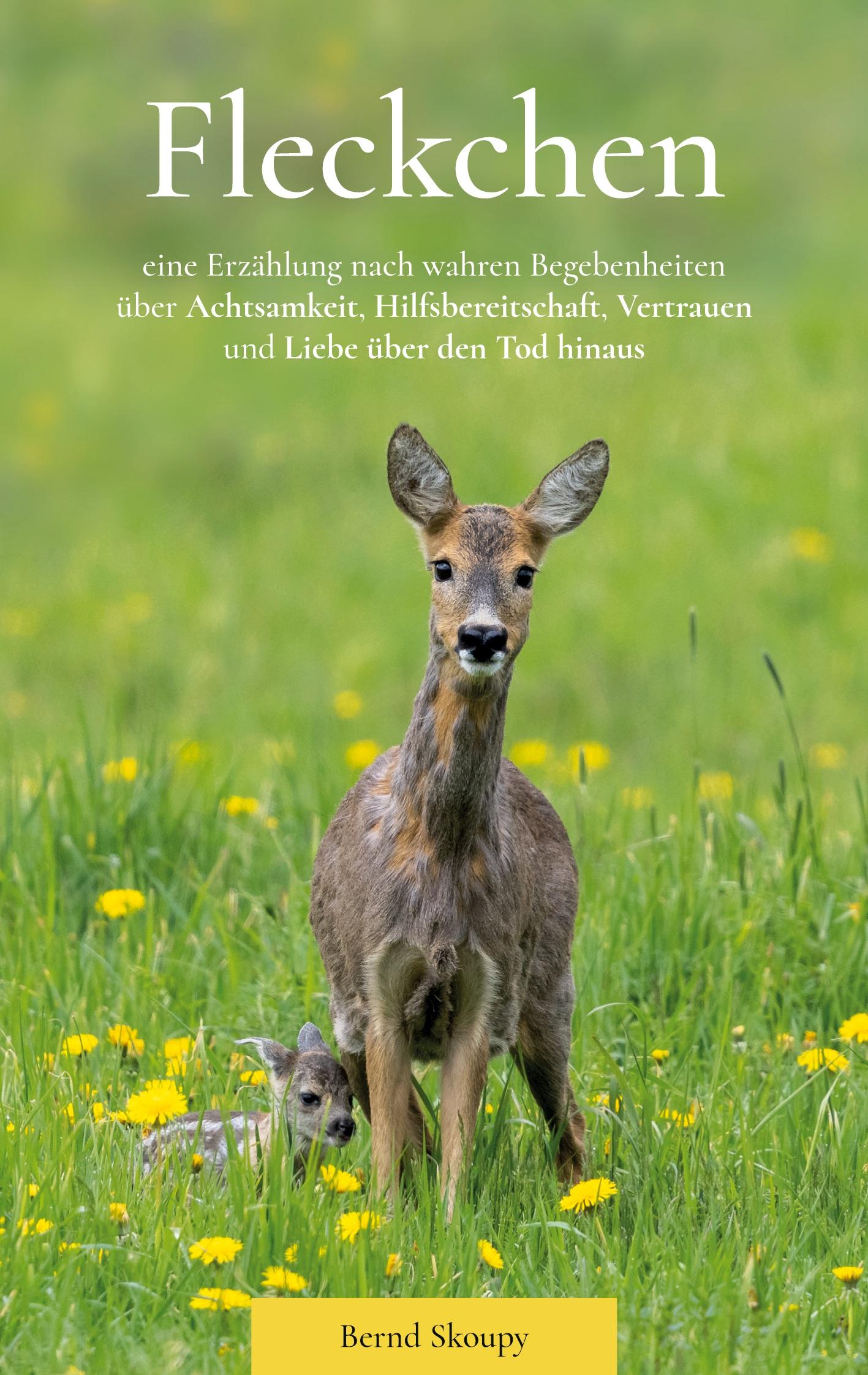 Vorderes Coverbild Fleckchen