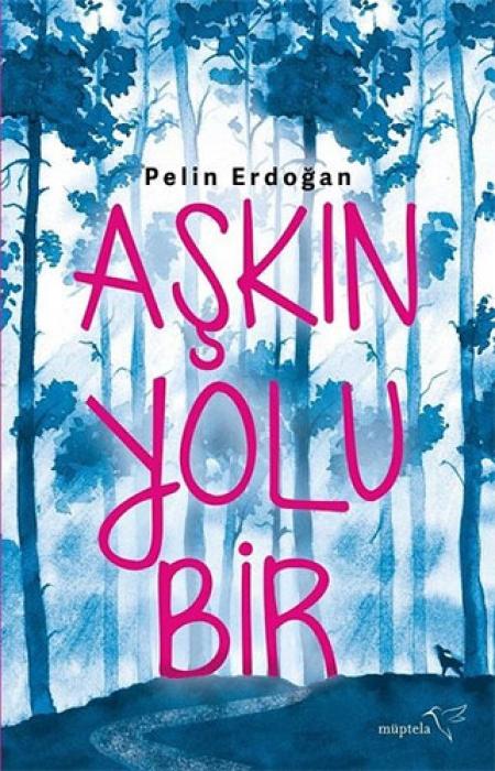 Vorderes Coverbild Askin Yolu Bir