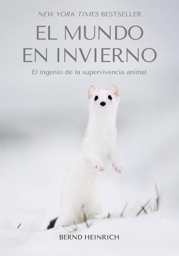 Vorderes Coverbild El Mundo en Invierno