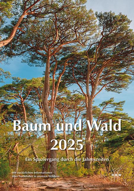 Vorderes Coverbild Baum und Wald 2025