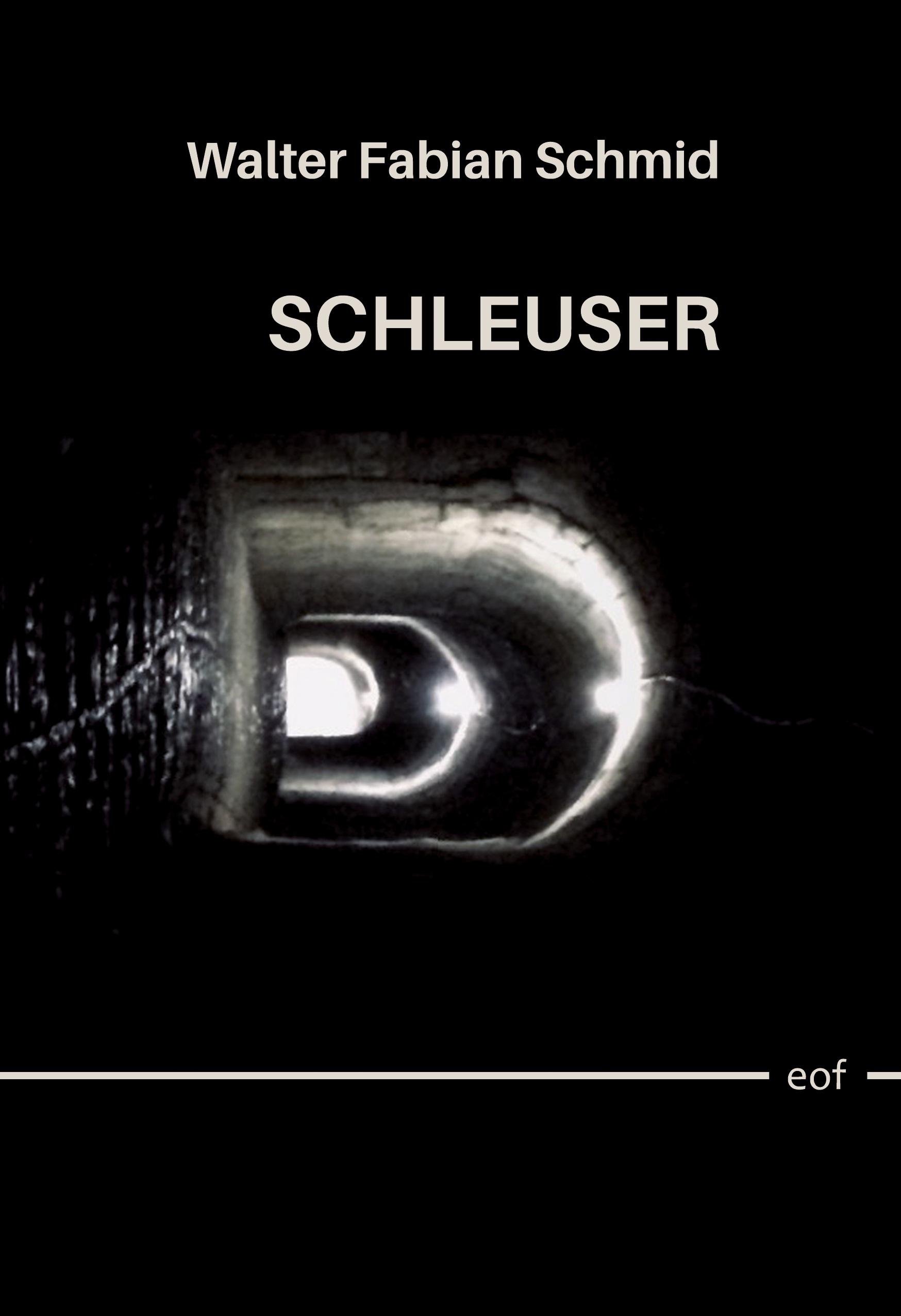 Vorderes Coverbild Schleuser