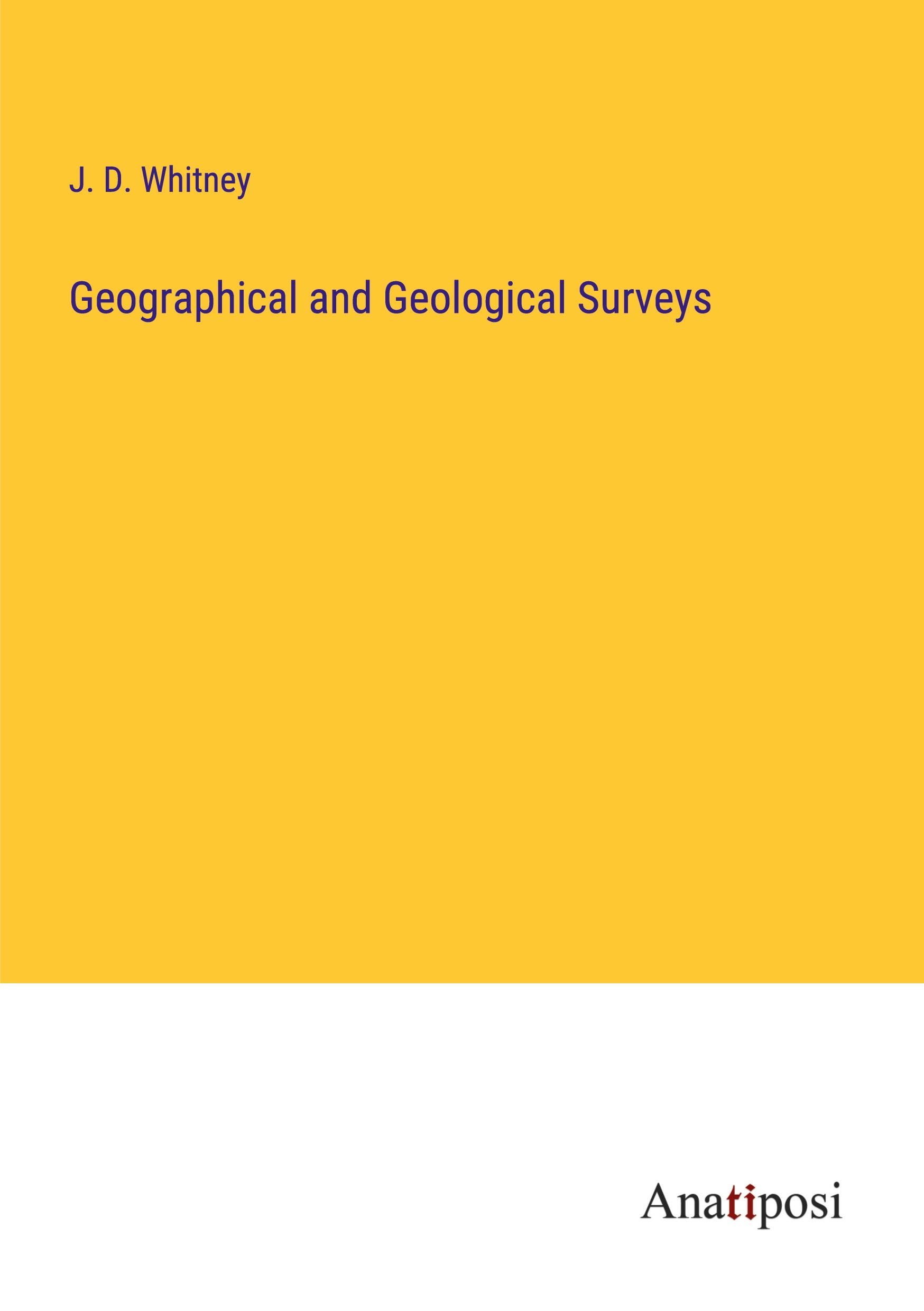 Vorderes Coverbild Geographical and Geological Surveys