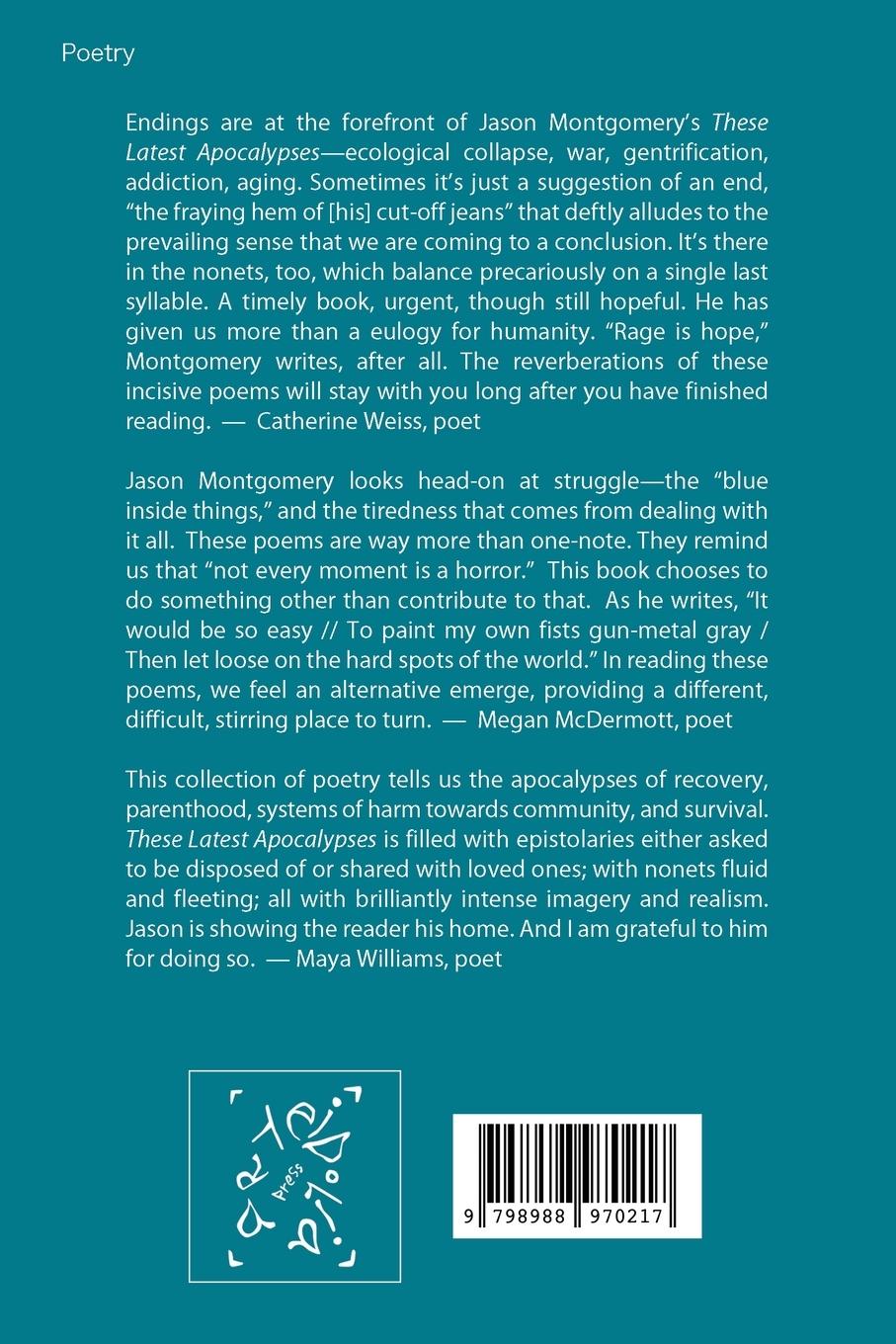 Rückseitencover These Recent Apocalypses