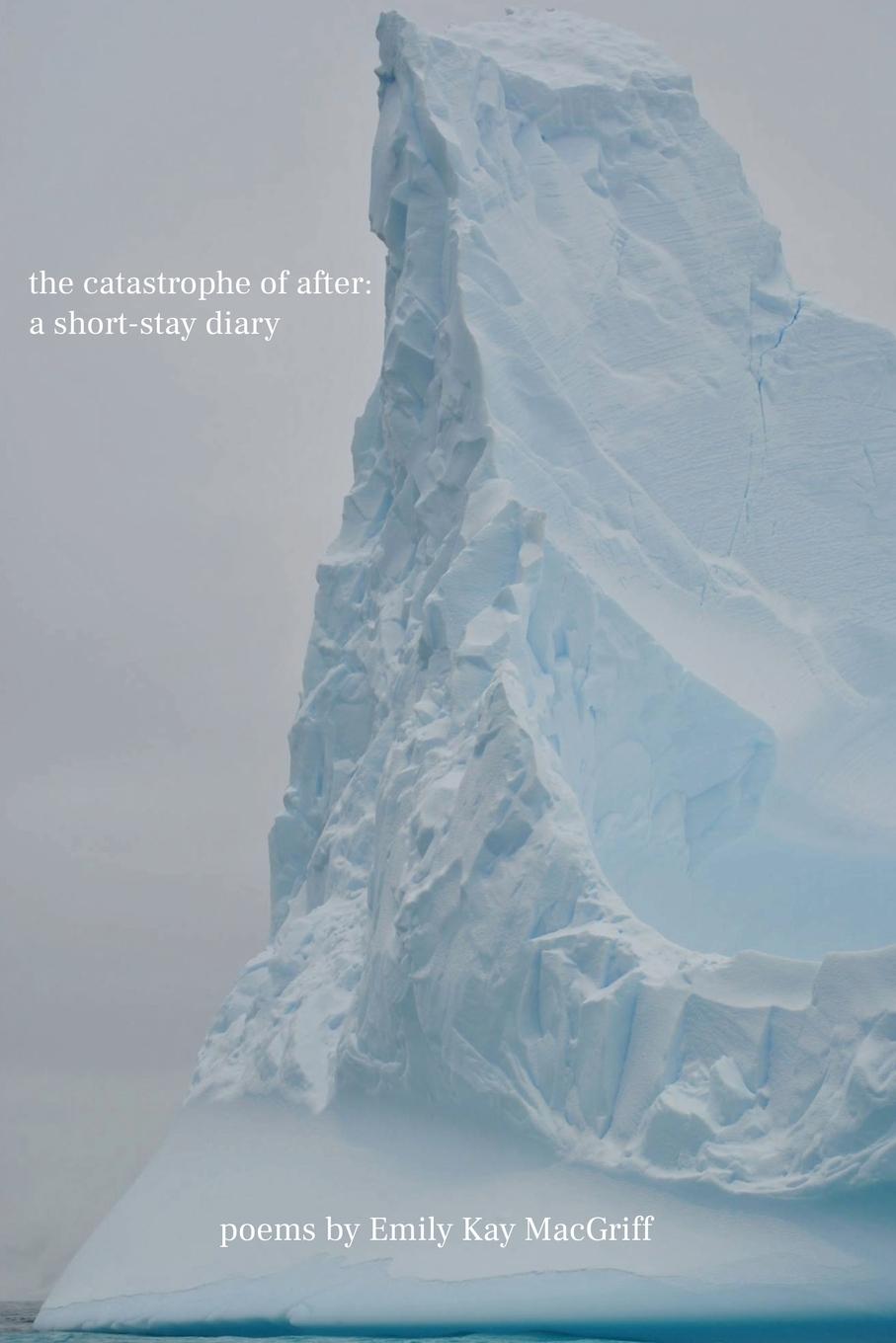Vorderes Coverbild the catastrophe of after