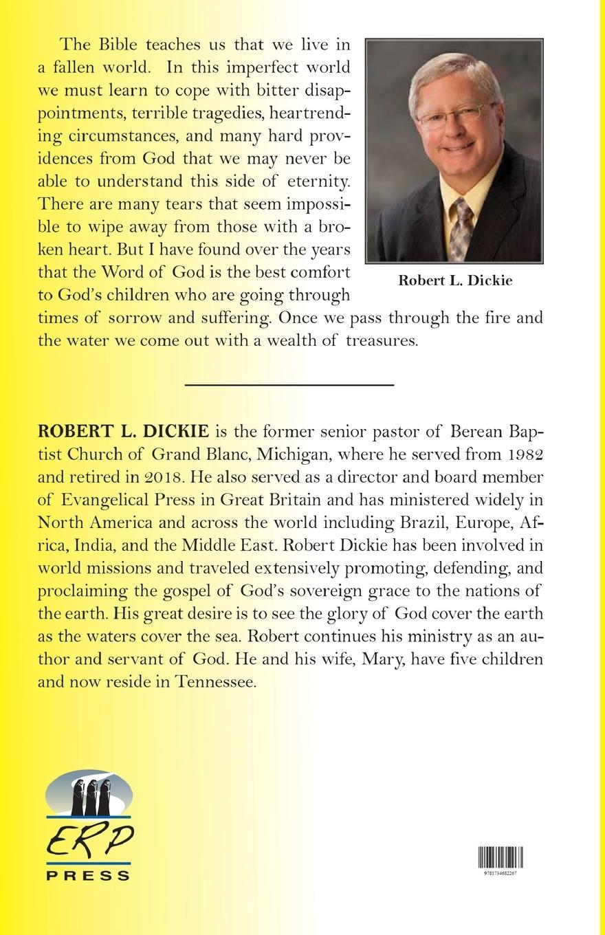 Rückseitencover Finding Peace in Times of Pain