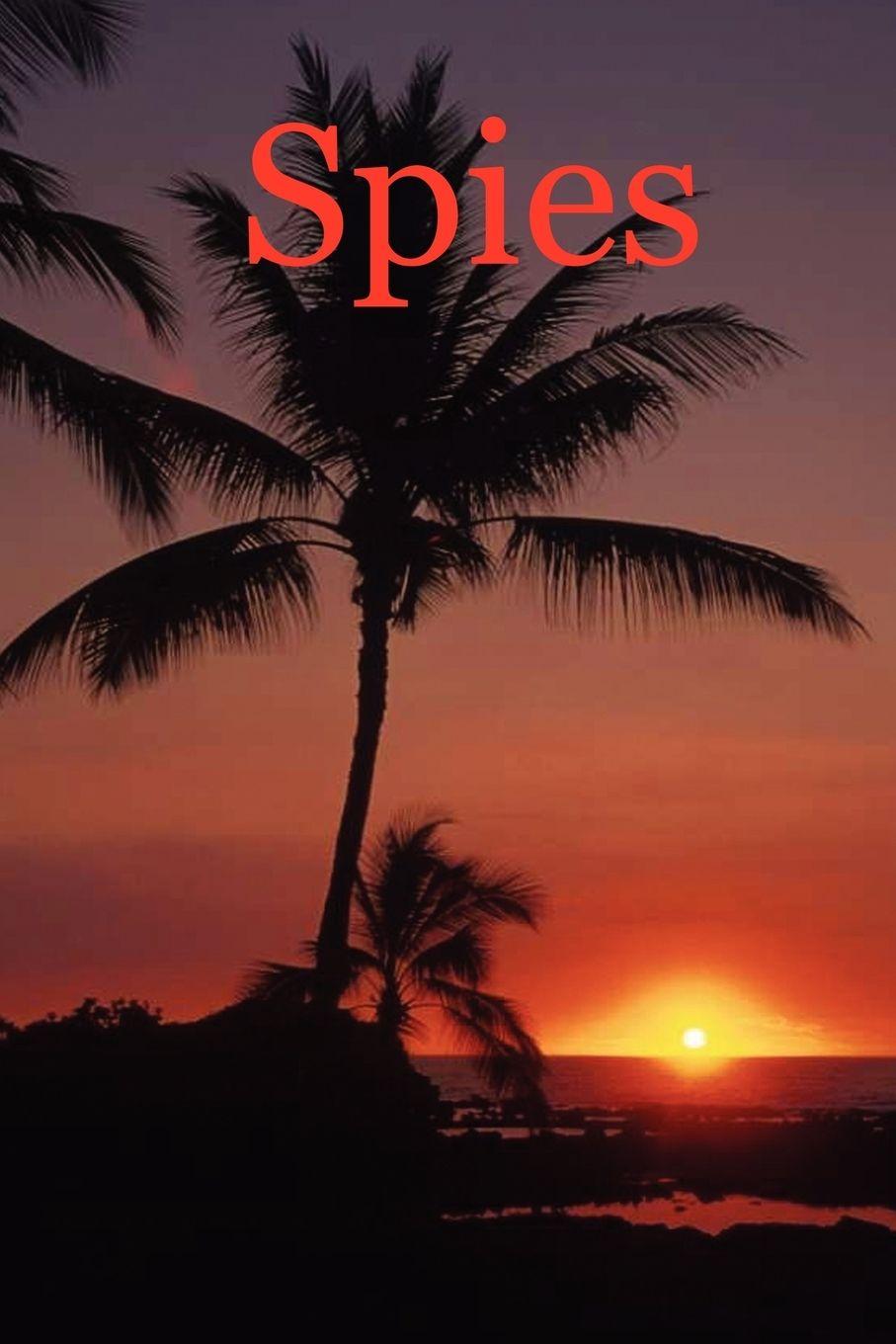 Vorderes Coverbild Spies