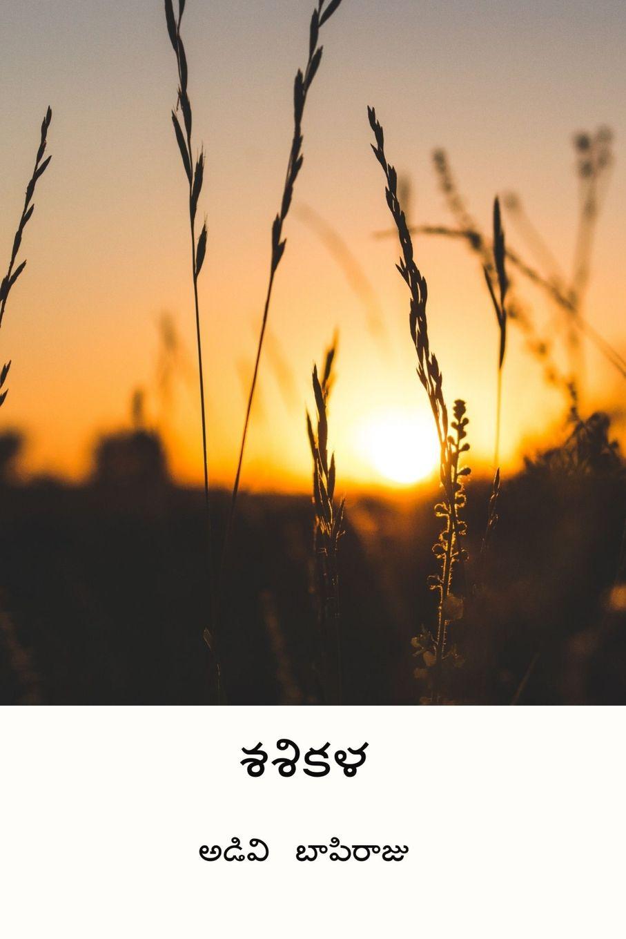 Vorderes Coverbild Sasikala