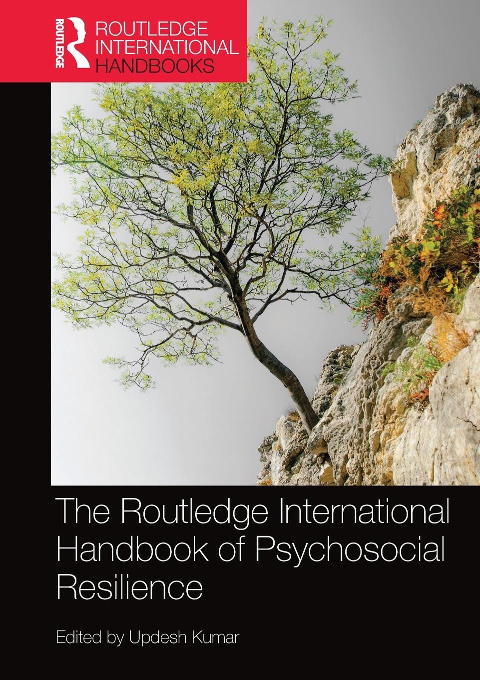 Vorderes Coverbild The Routledge International Handbook of Psychosocial Resilience