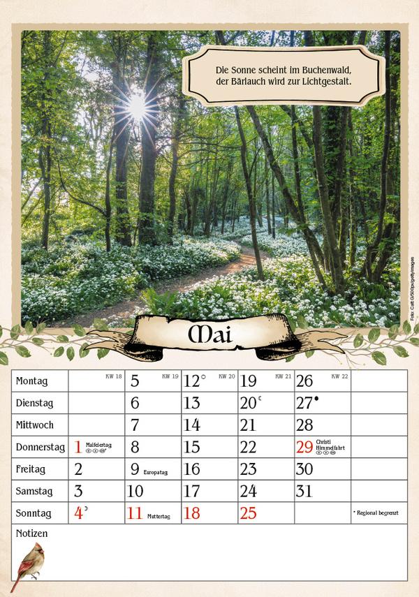 Beispielinhalt (Bild) Kalender für Rentner 2025