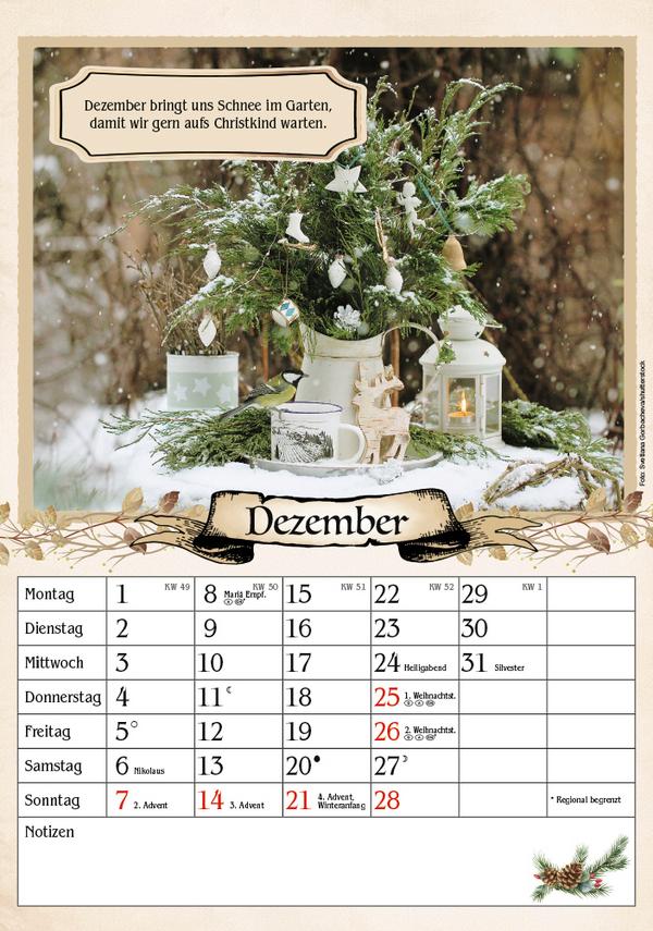 Beispielinhalt (Bild) Kalender für Rentner 2025