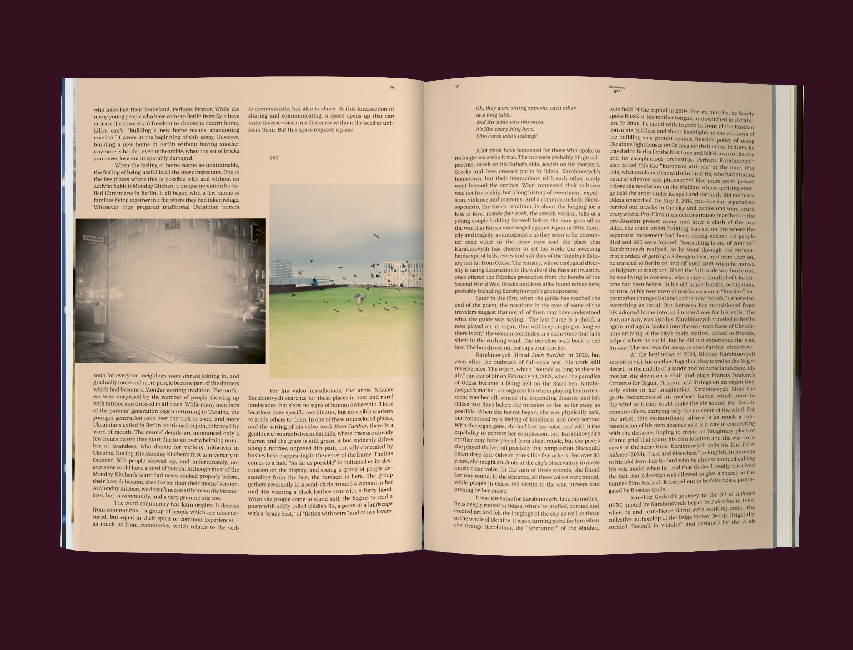 Beispielinhalt (Bild) Solomiya No.3