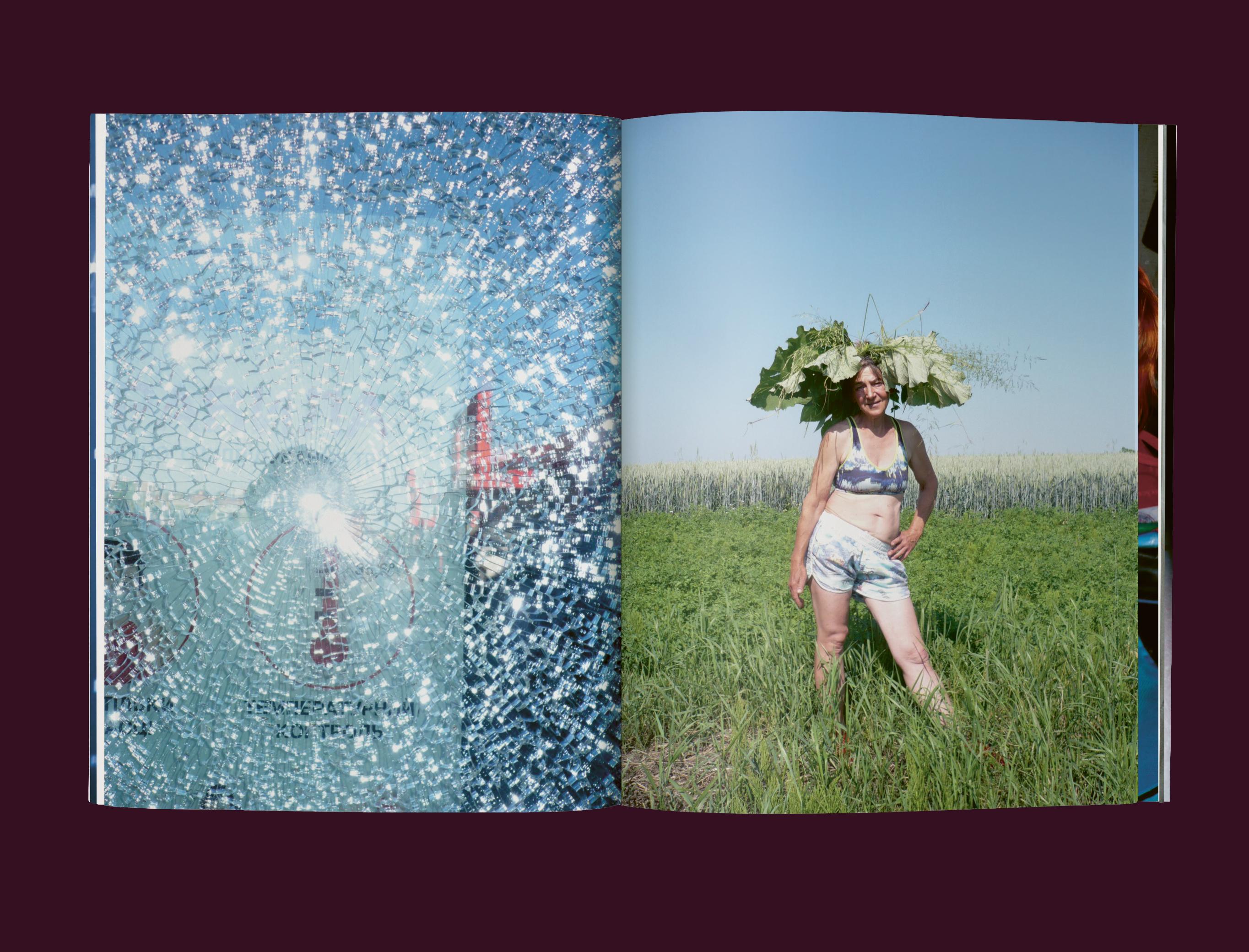 Beispielinhalt (Bild) Solomiya No.3