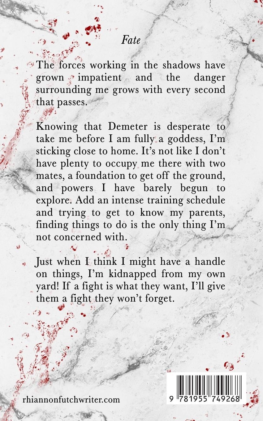 Rückseitencover A Vampire's Fight