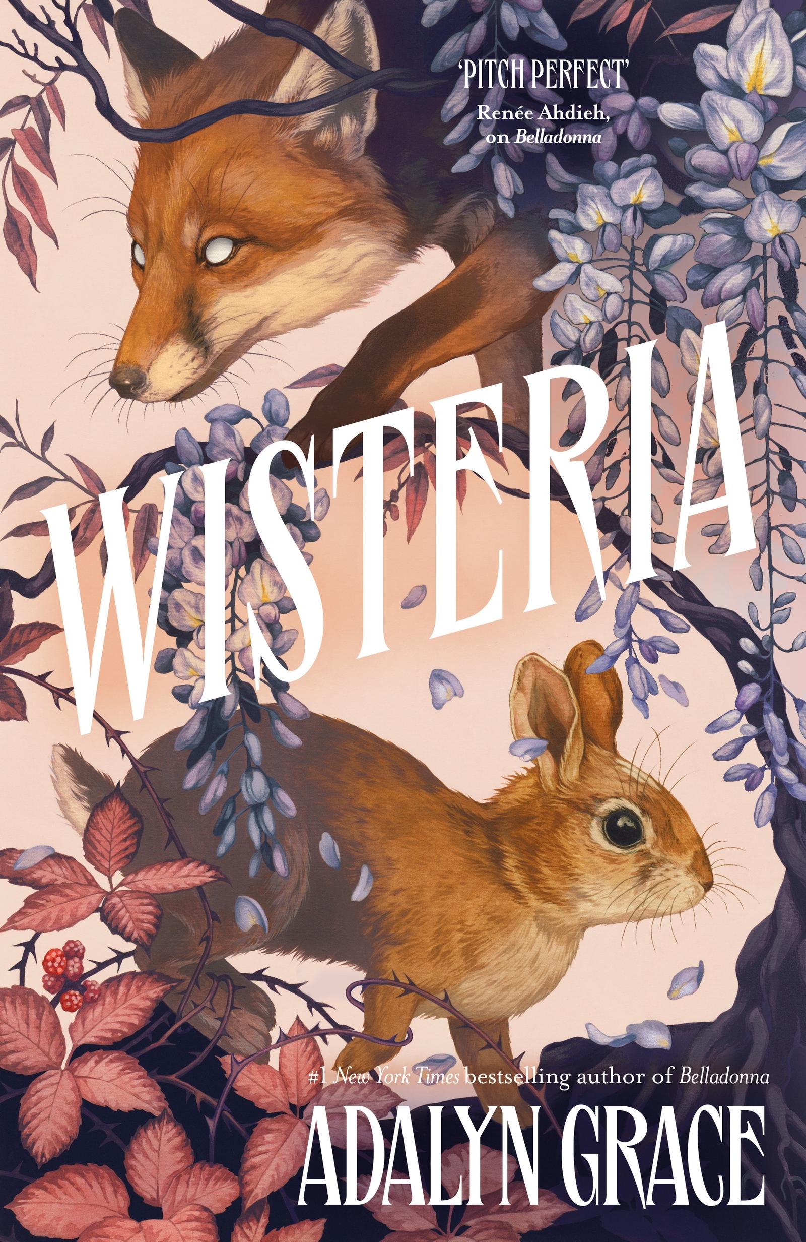 Vorderes Coverbild Wisteria
