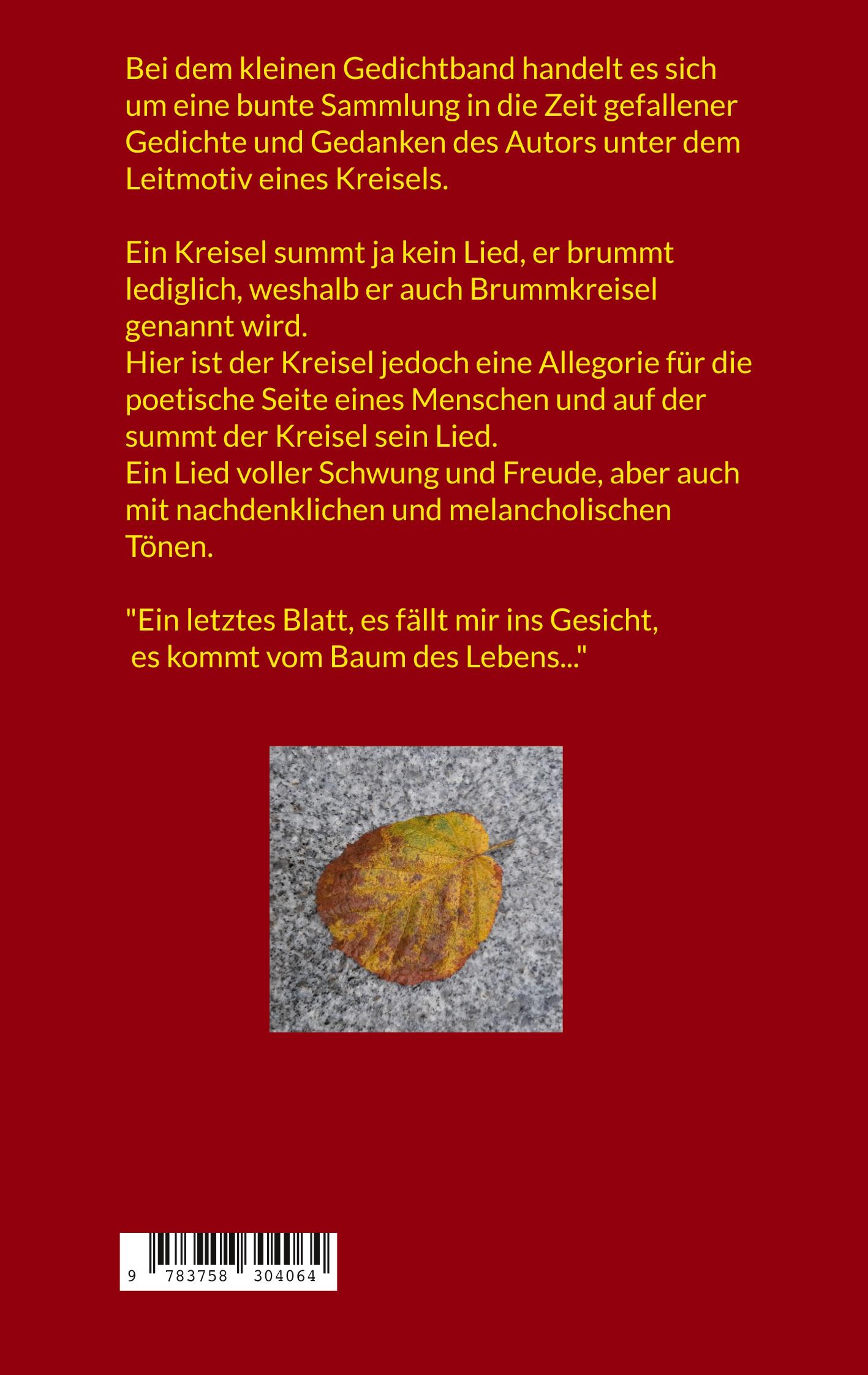 Rückseitencover Ein Kreisel summt sein Lied...