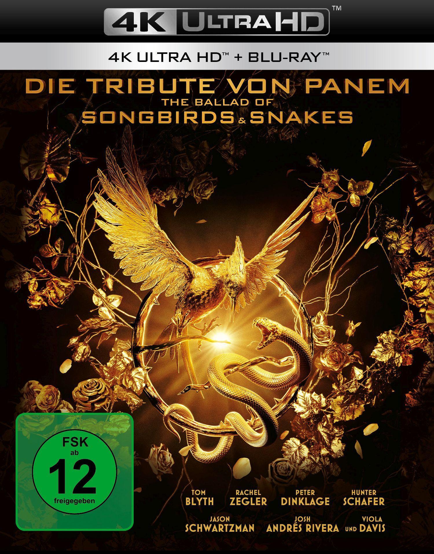 Vorderes Coverbild Die Tribute von Panem - The Ballad Of Songbirds And Snakes UHD BD