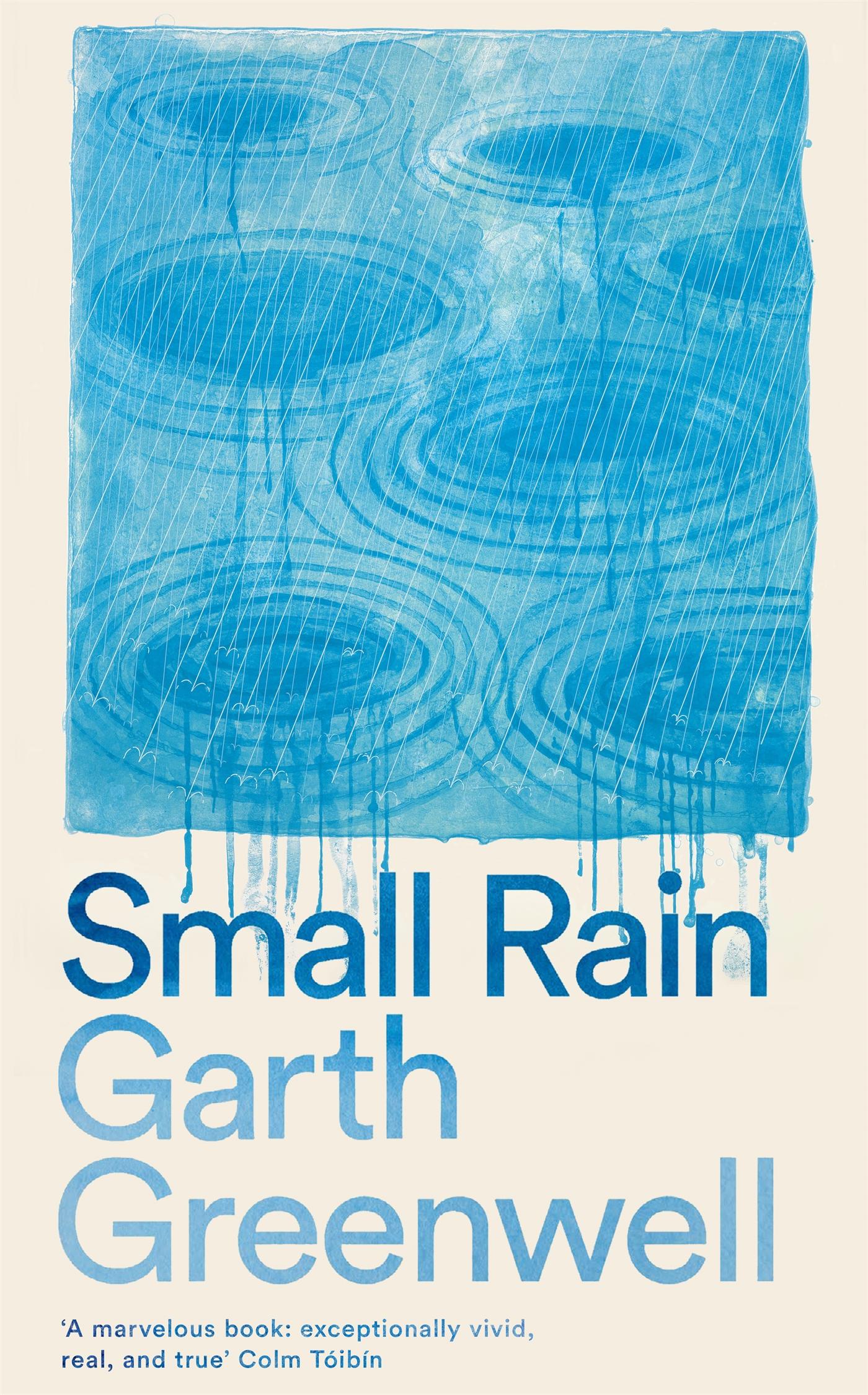 Vorderes Coverbild Small Rain