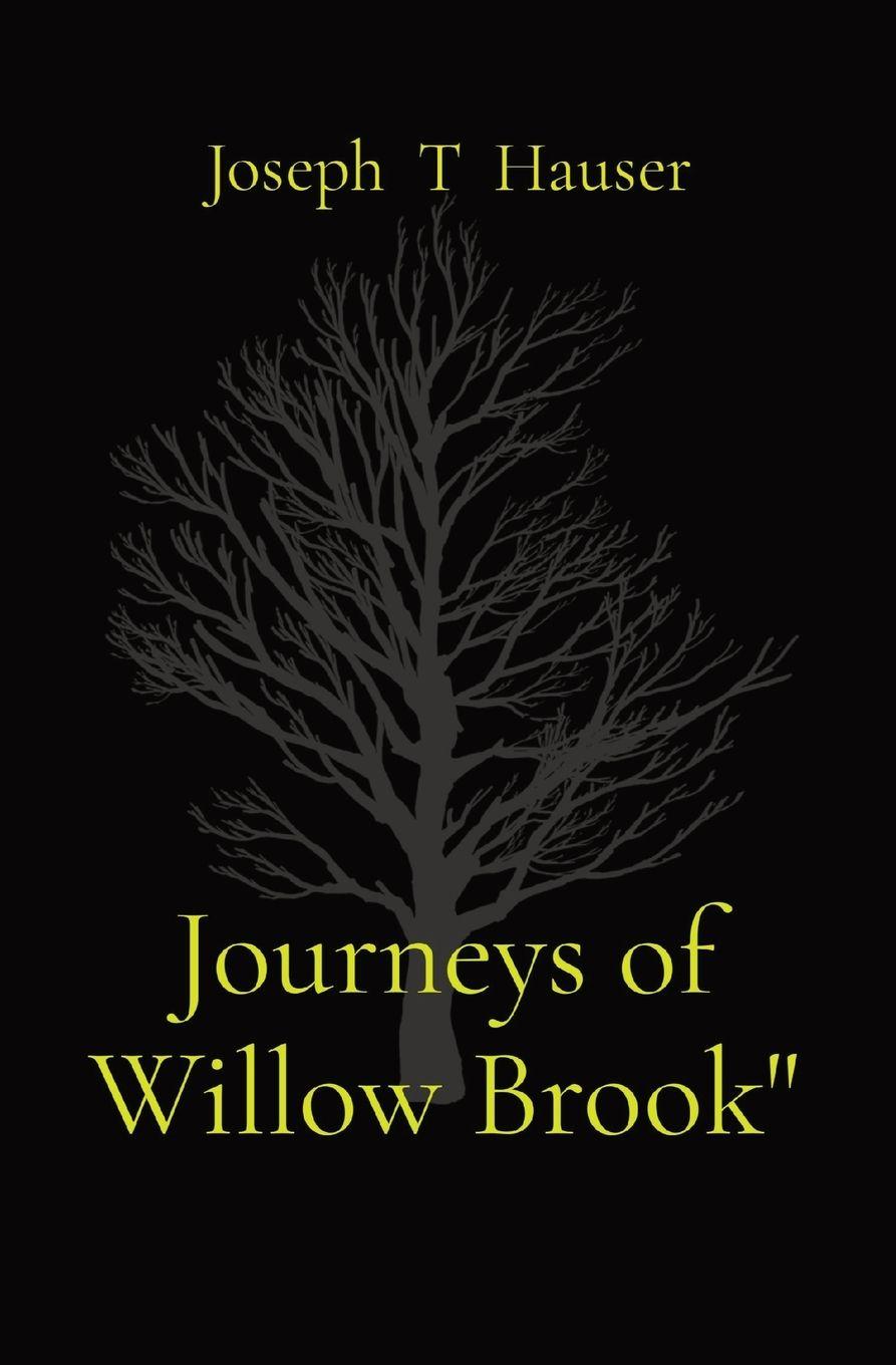 Vorderes Coverbild Journeys of Willow Brook"