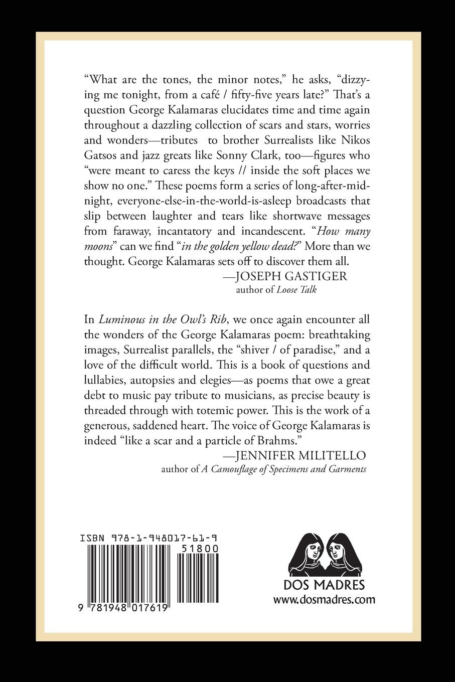 Rückseitencover Luminous in the Owl's Rib