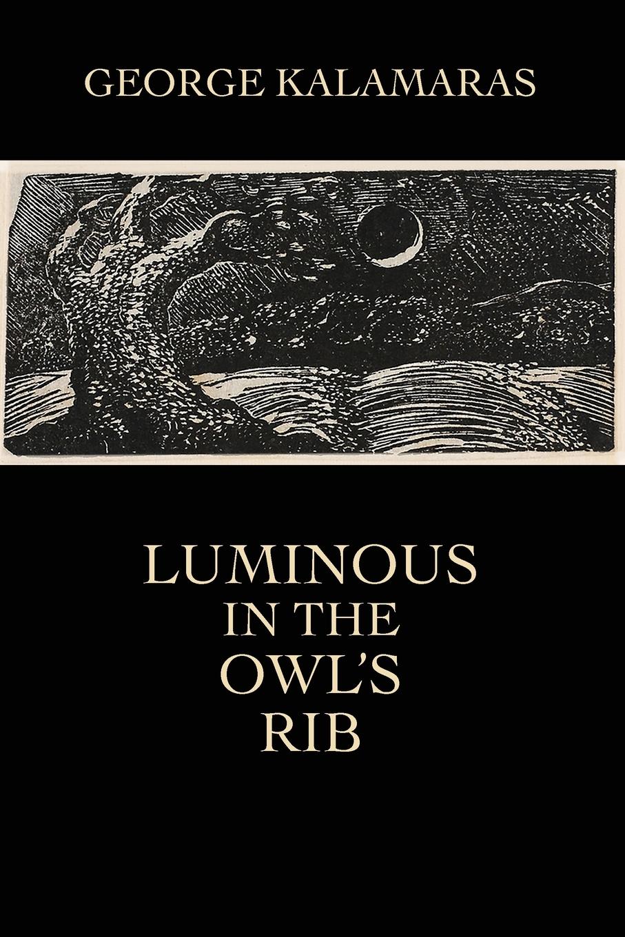Vorderes Coverbild Luminous in the Owl's Rib